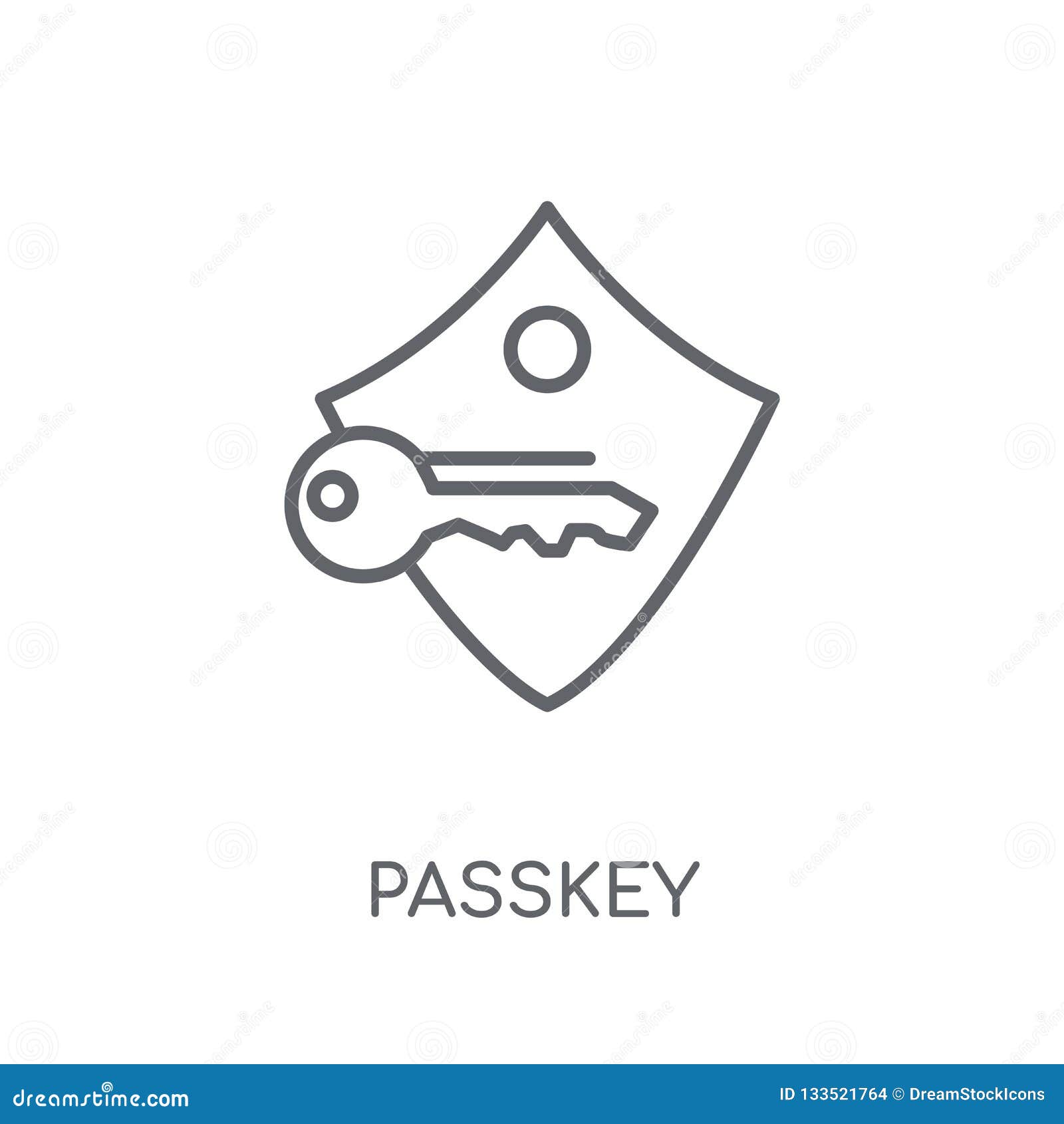 passkey linear icon. modern outline passkey logo concept on whit