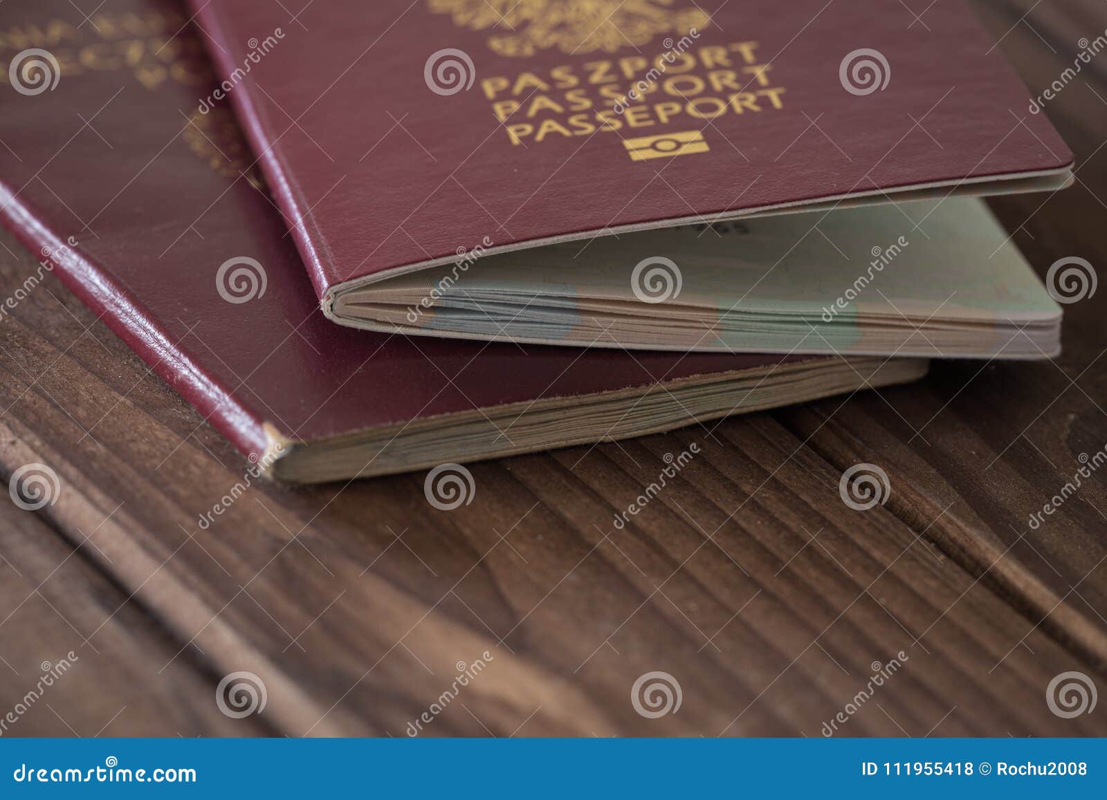 european travel document