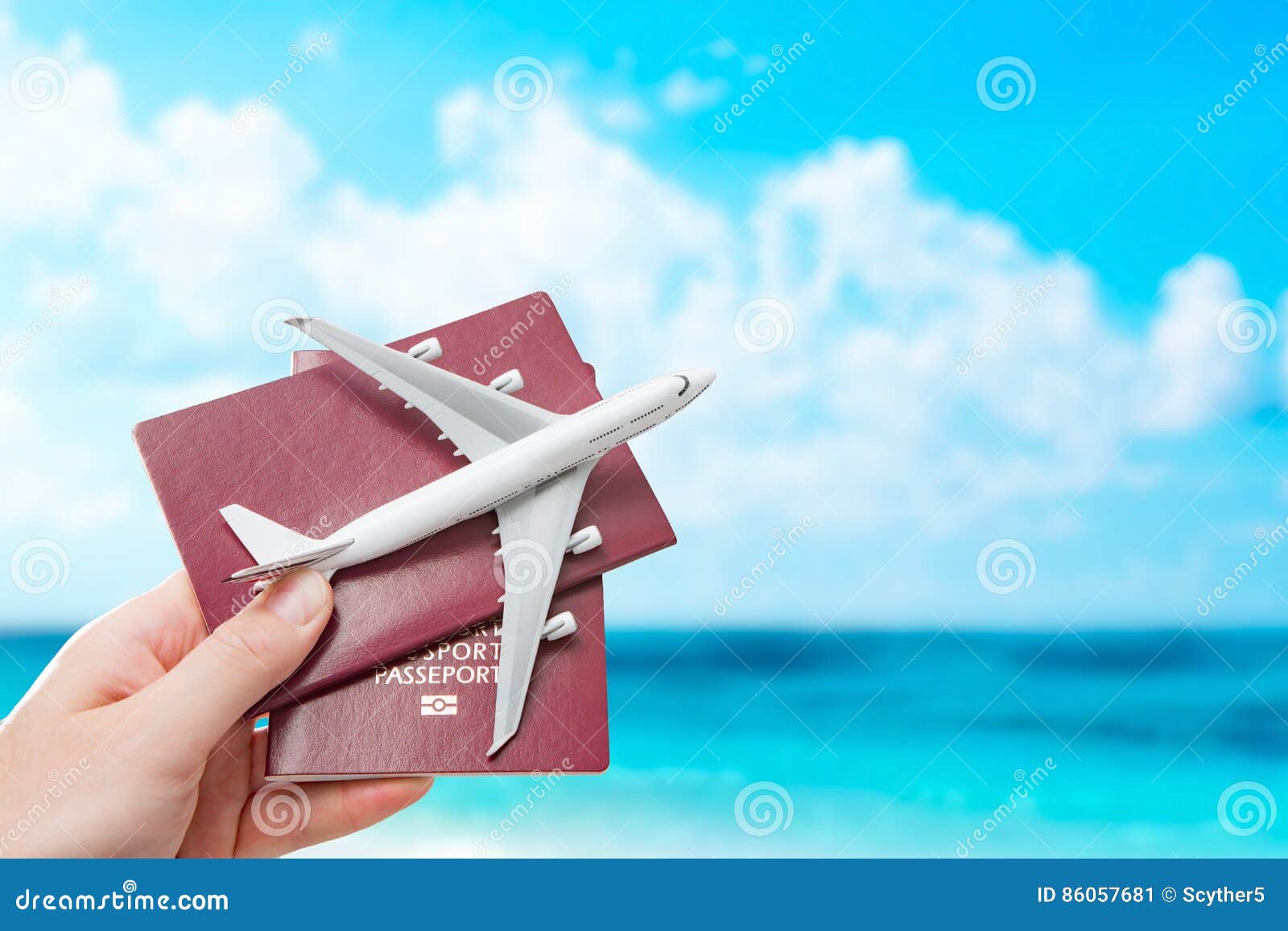 passport flight fly travelling travel citizenship concept