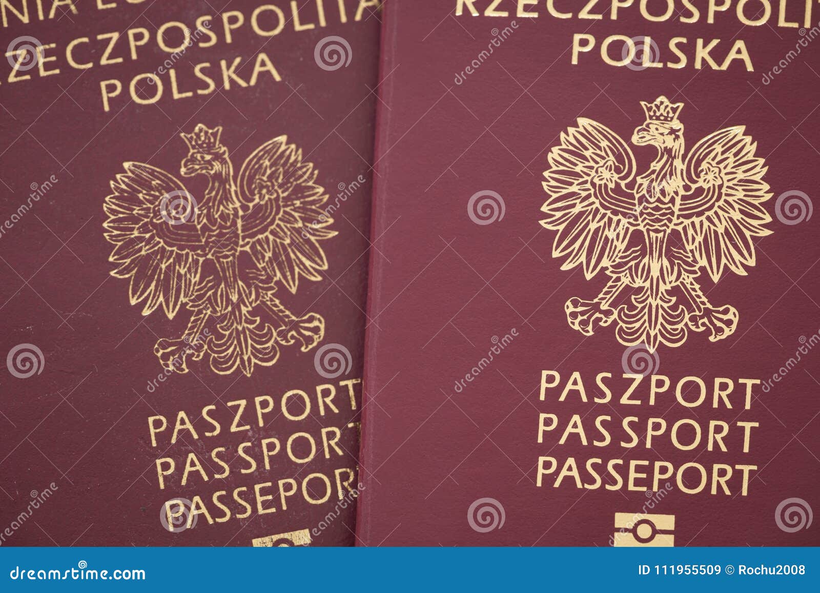 european travel document