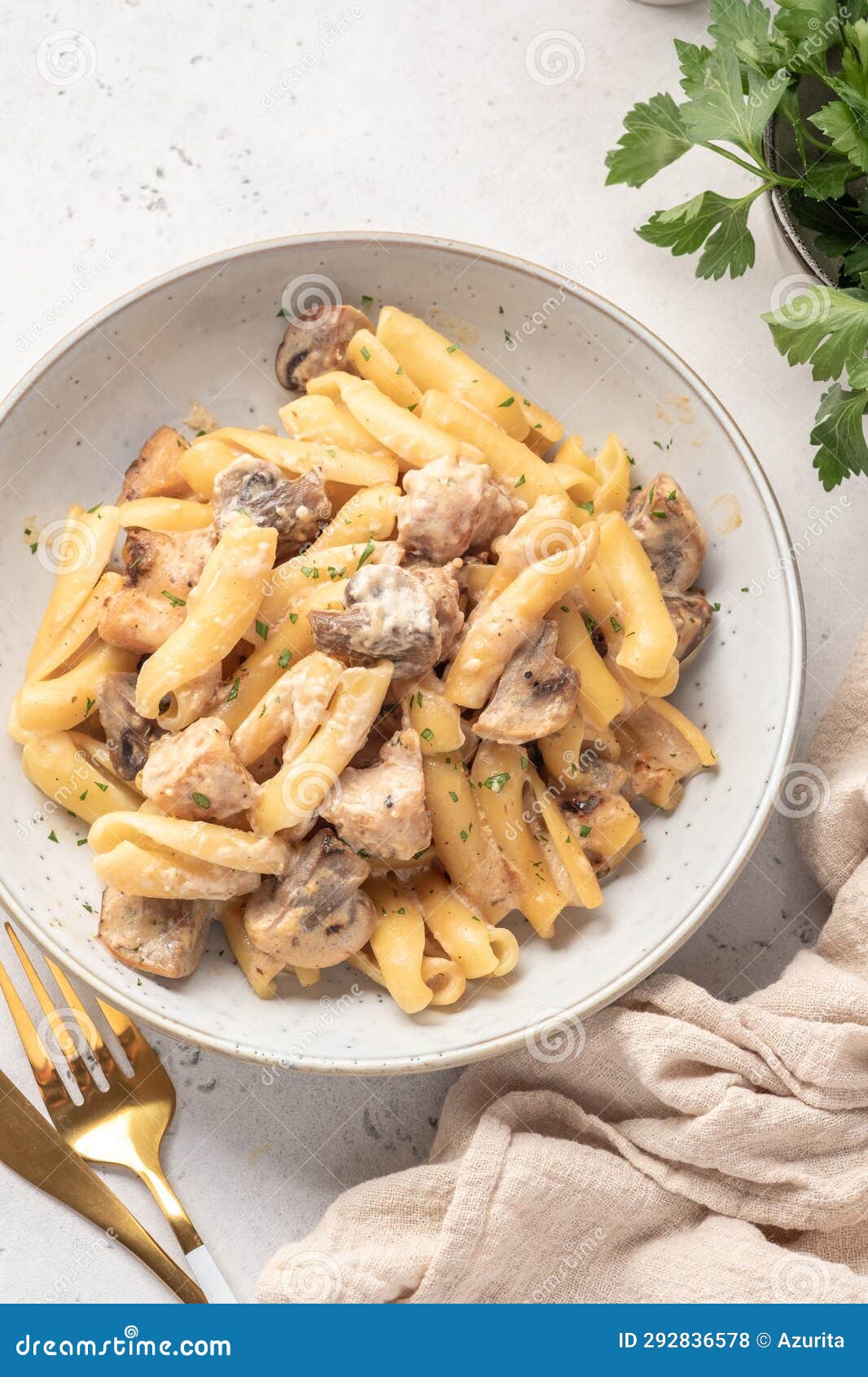 Pasta with Chicken and Mushroom Stock Photo - Image of dish, cheese