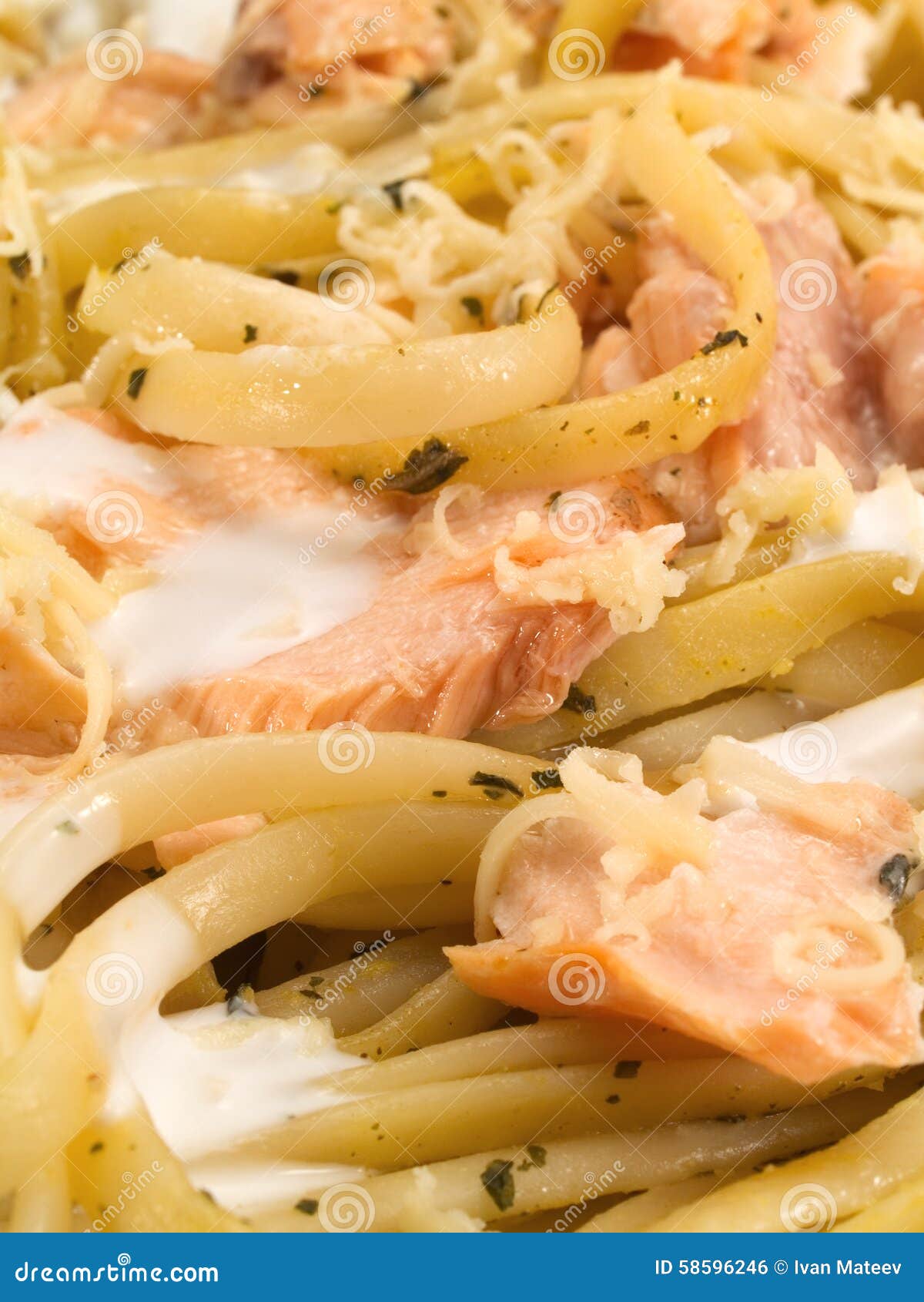 Pasta Collection Tagliatelle with Salmon Stock Photo Image of herb