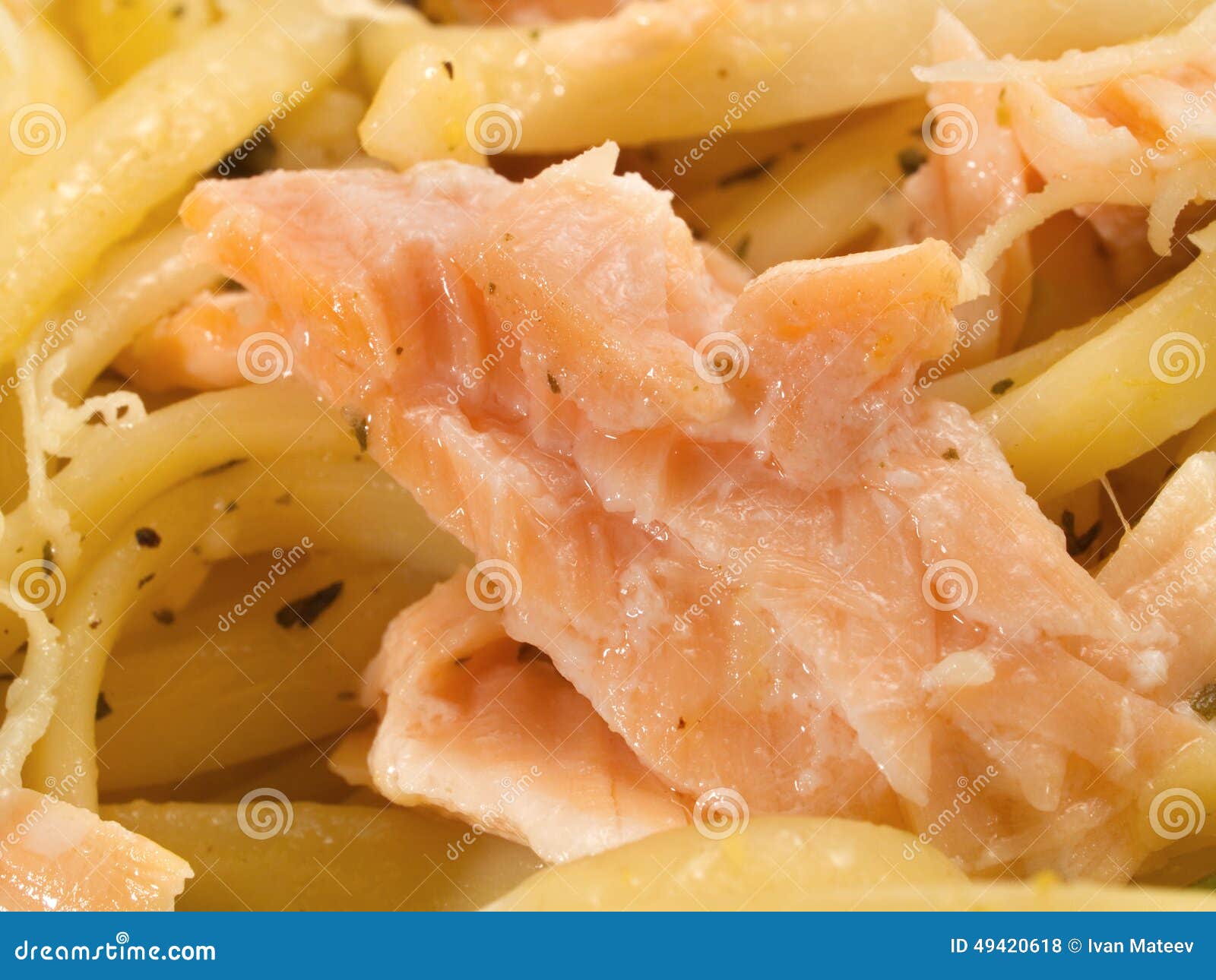 Pasta Collection Tagliatelle with Salmon Stock Photo Image of pasta