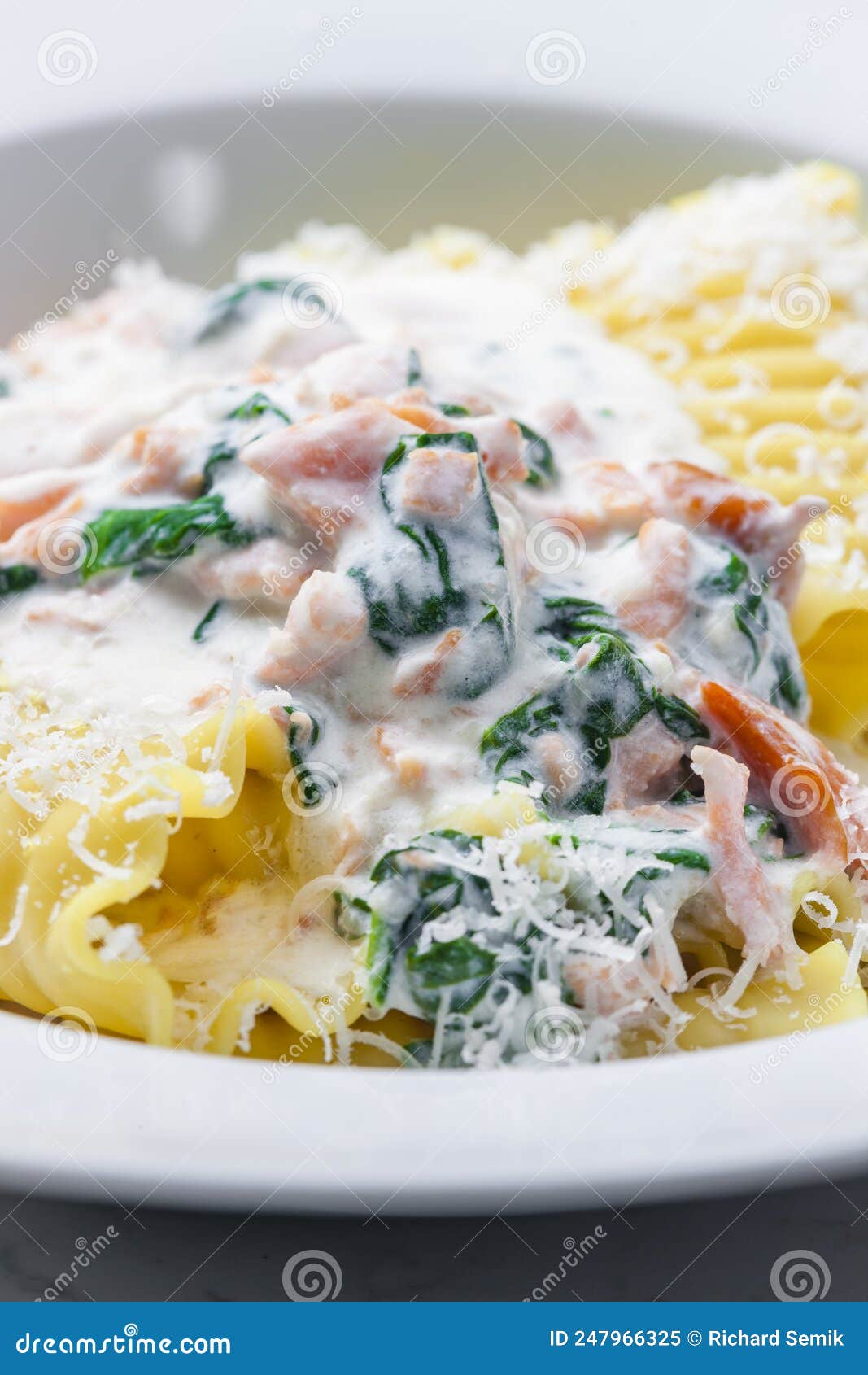 Pasta with Creamy Salmon Sauce with Spinach Stock Image - Image of
