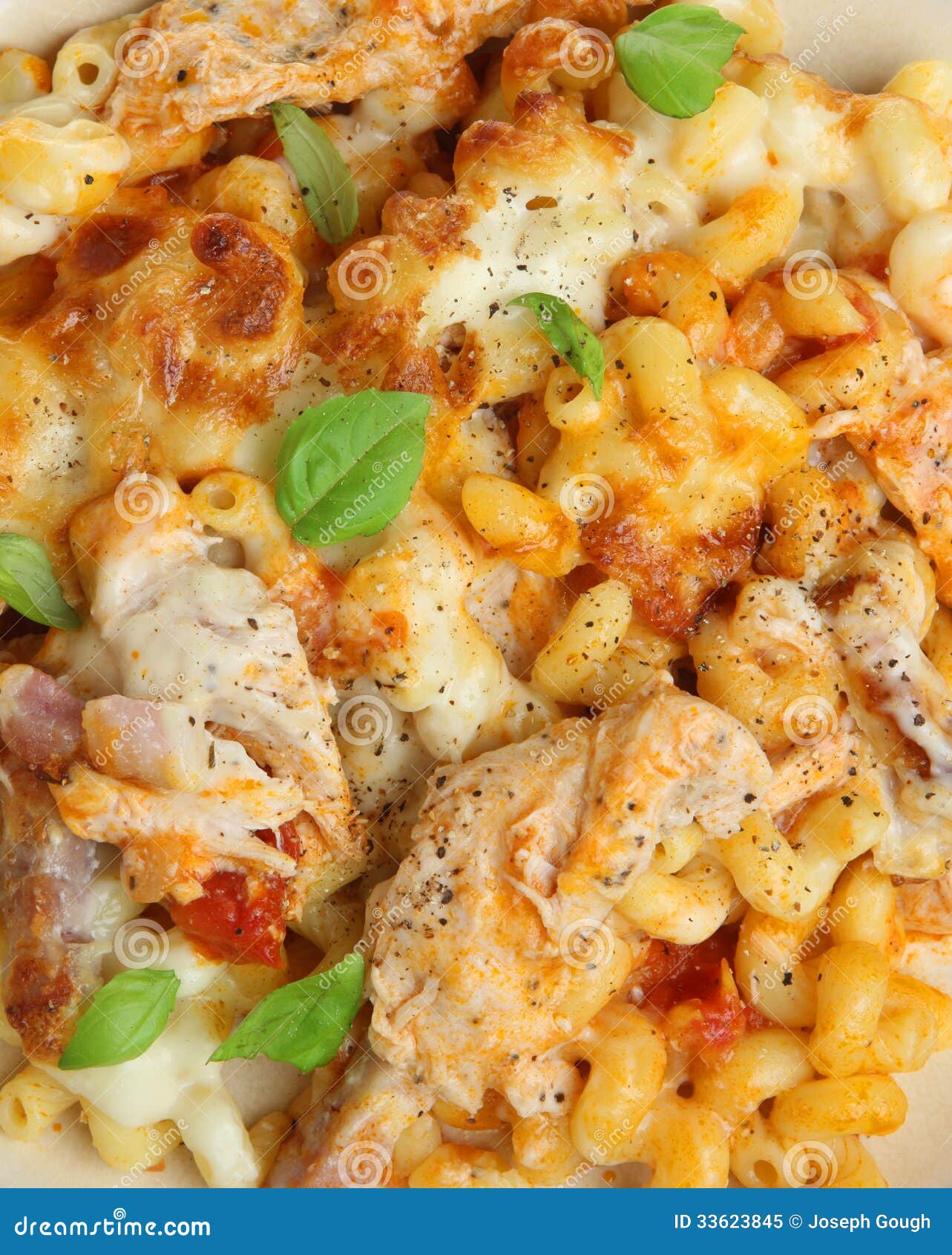 Pasta Gratin with Chicken & Bacon Stock Image Image of ground