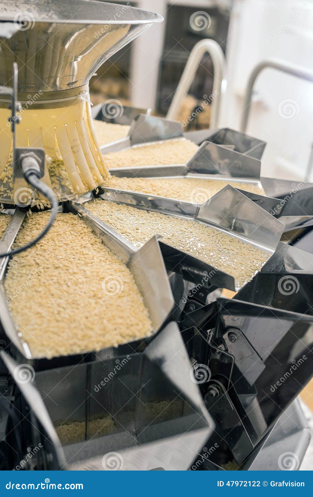 Pasta manufacturing stock photo. Image of belt, distribution 47972122