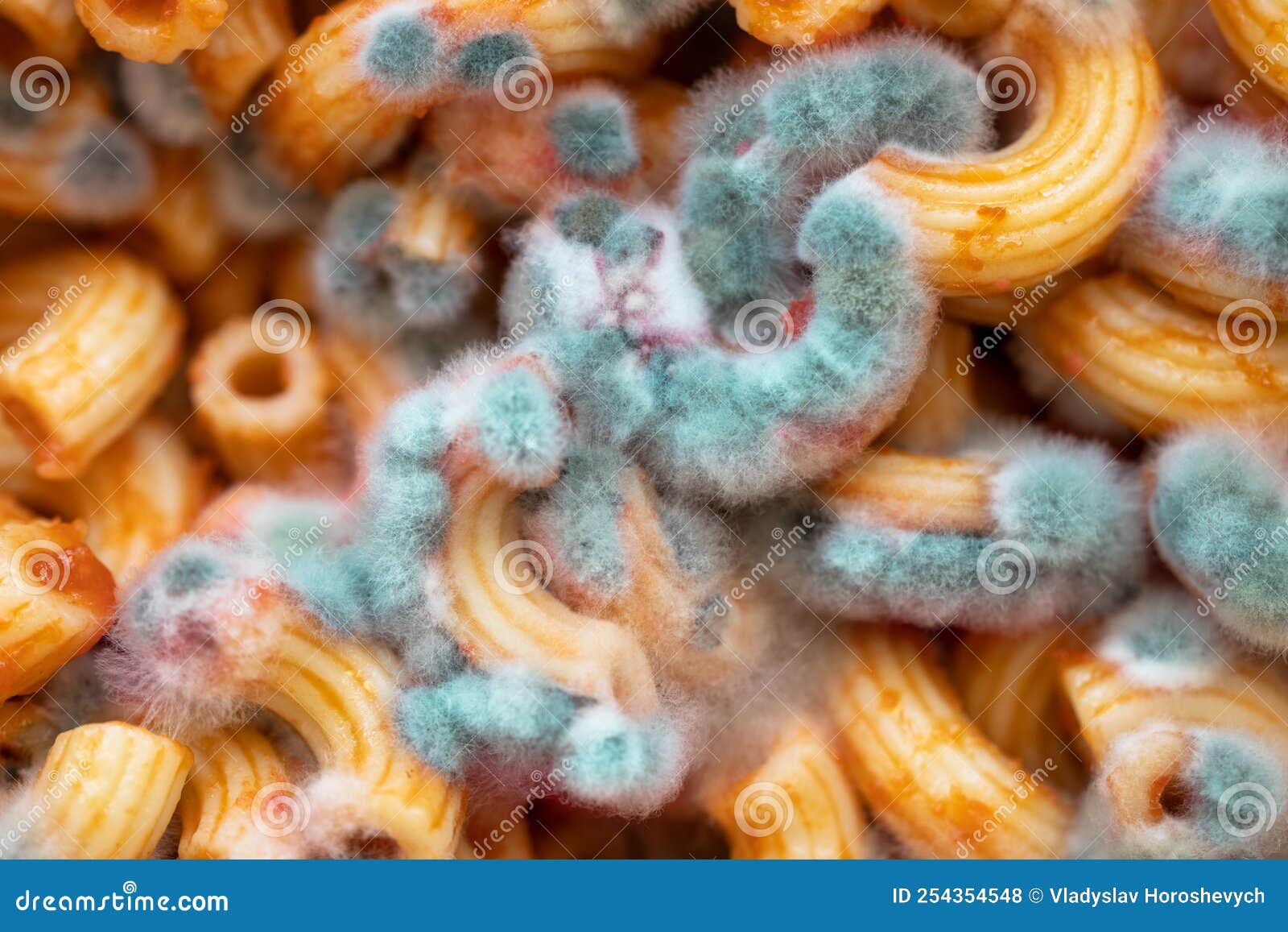 Pasta with Mold, Spoiled Pasta Closeup, Green Mold Stock Photo Image