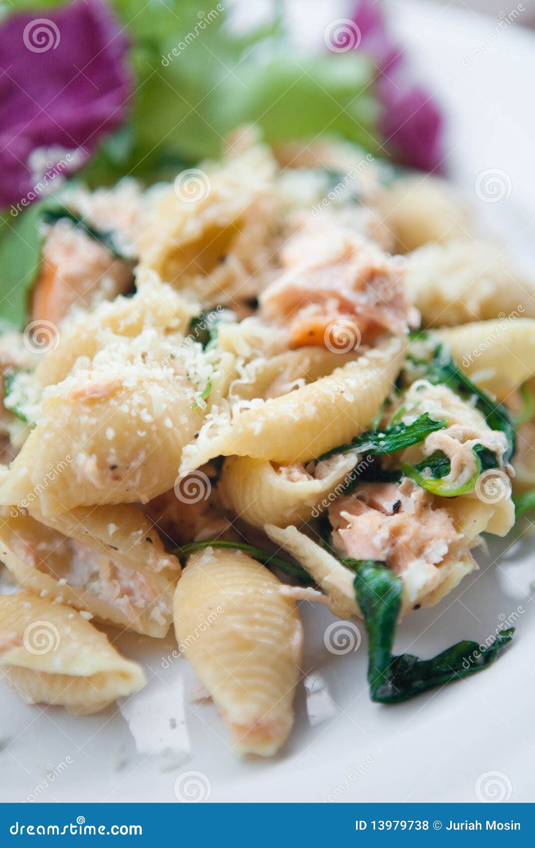 Pasta with Salmon, Spinach and Cream, Stock Photo Image of penne