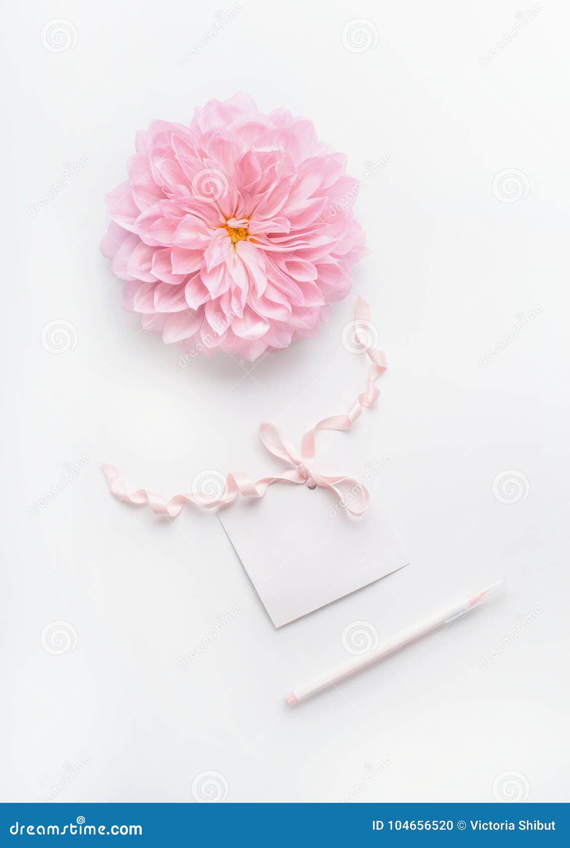 Pastel Color Mock Up With Pink Flower Blank Paper Card With