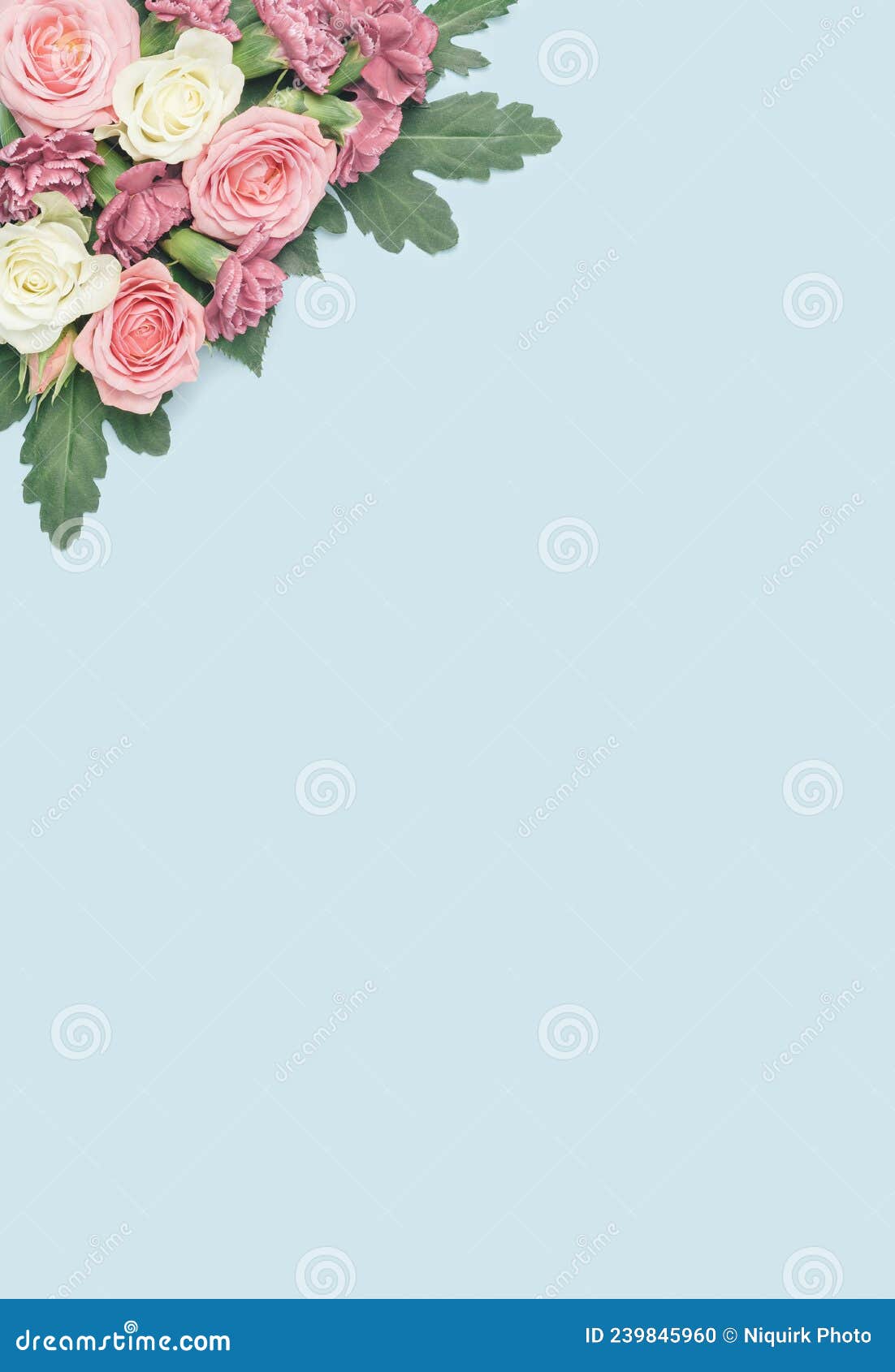 Pastel Colored Roses on a Light Blue Background. Stock Photo Image of