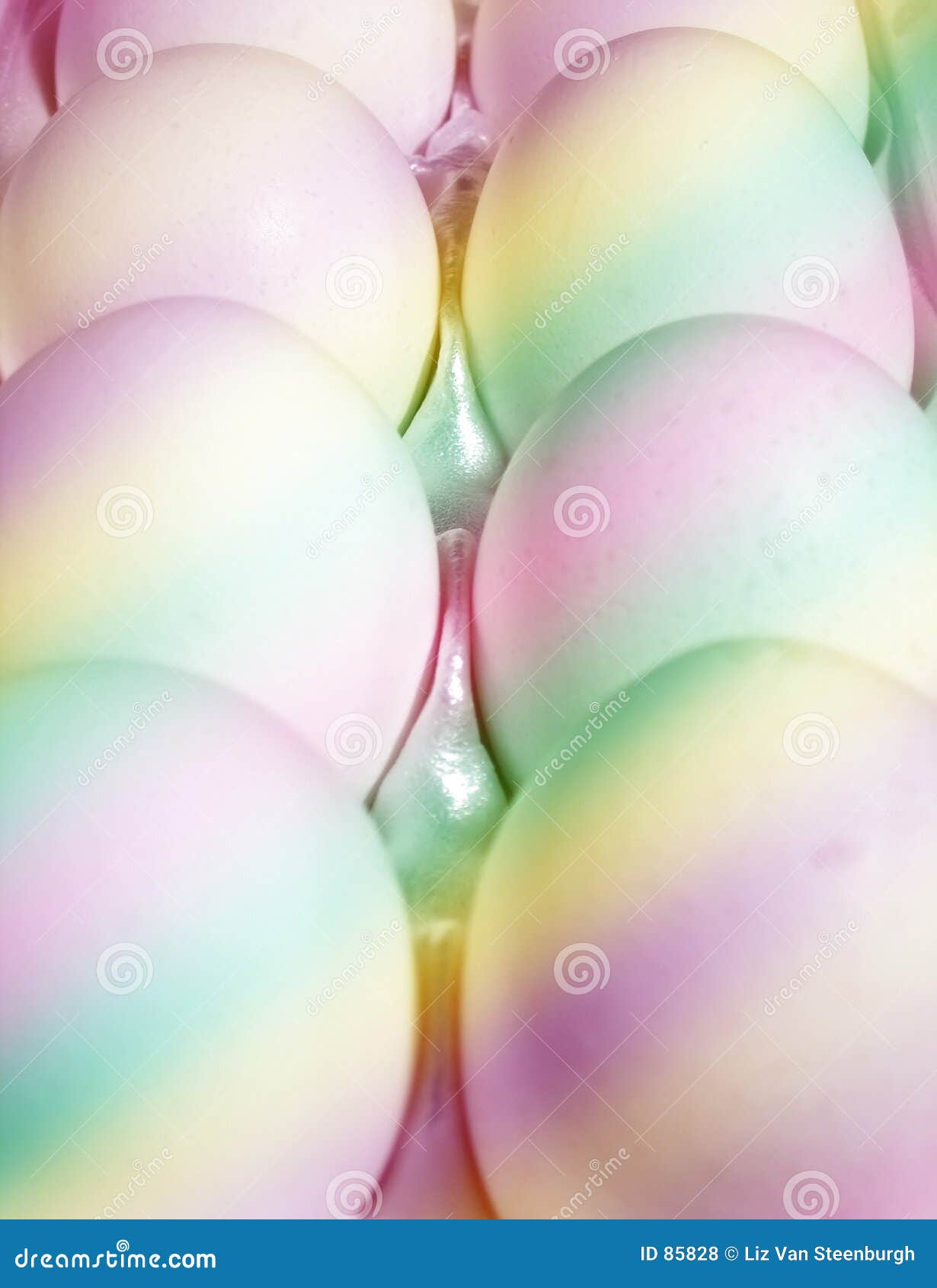 Pastel Eggs stock photo. Image of dyed, purple, food, yellow 85828