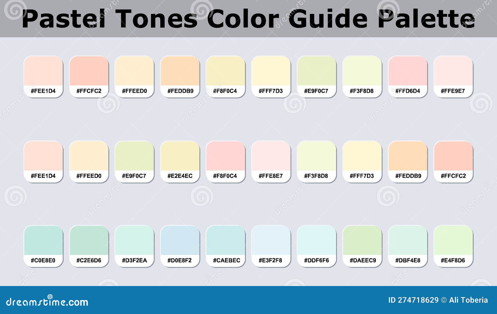 Color palette guide catalogue cards Royalty Free Vector