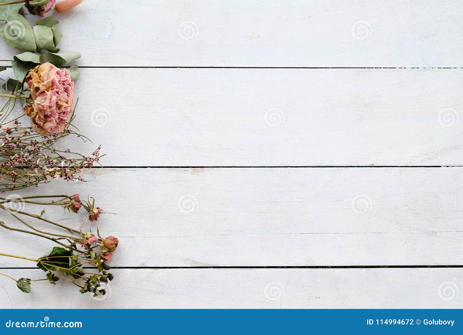 Pastel Vintage Dried Flower Twig White Background Stock Photo - Image of  decoration, beautiful: 114994672