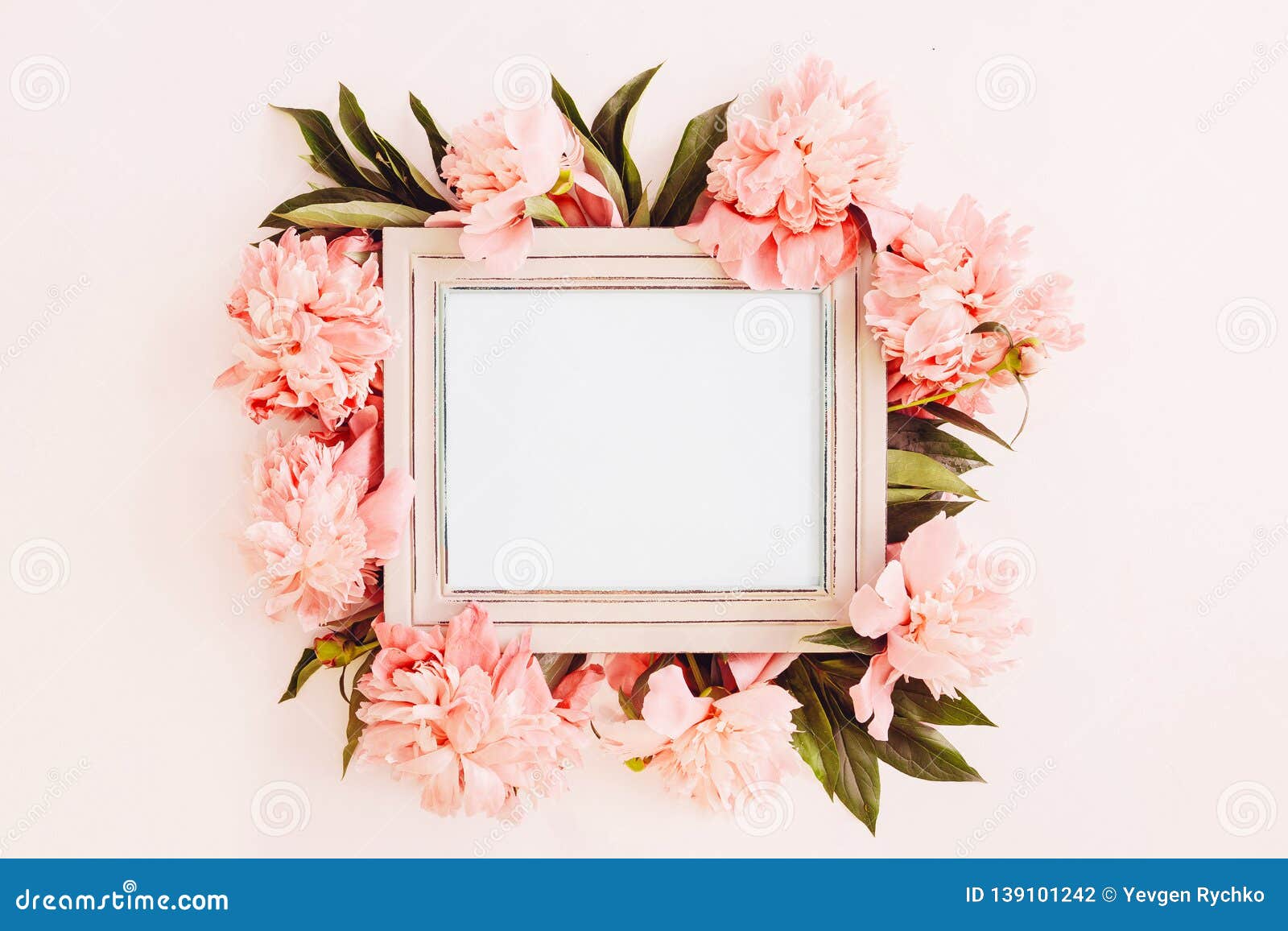Download Pastel Wooden Frame Decorated With Peonies Flowers, Space ...