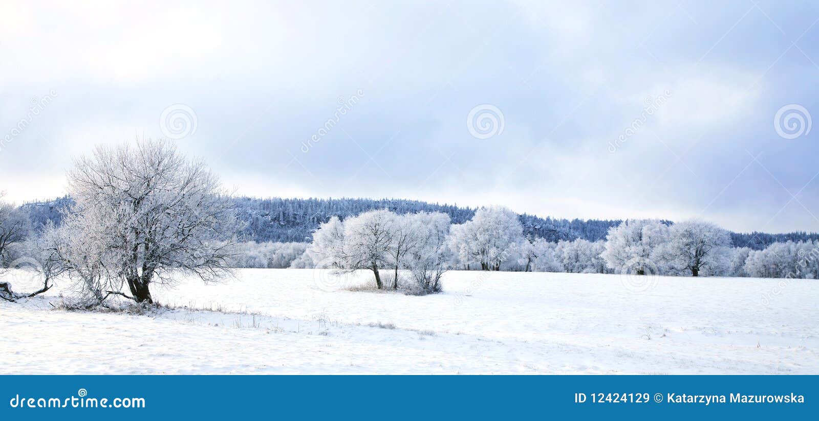Pasterka Dorf im Schnee â Winter in Polen. Malerisches, kleines Dorf Pasterka (Passendorf) bis zum Winter. Nationalpark â Stolowe Berge in Polen