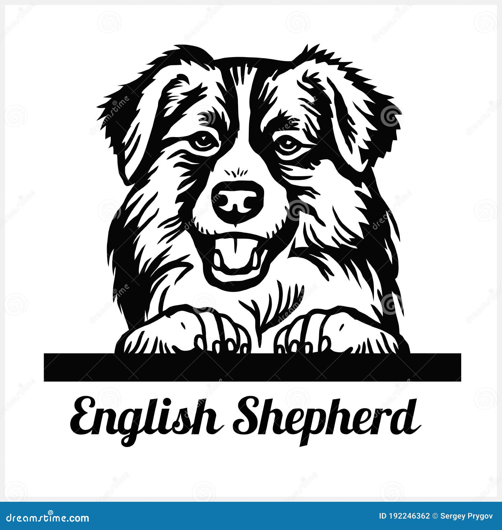 Cachorros Pastor Ingles