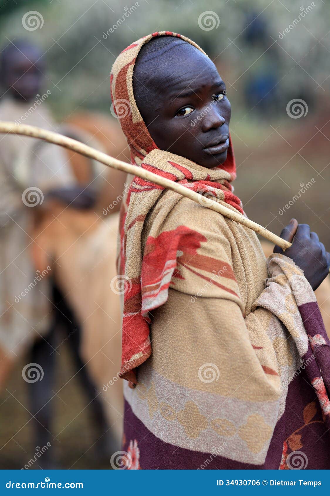 Pastor do gado de Suri. Pastor novo do gado de Suri em um lugar do gado em Omo sul, Etiópia