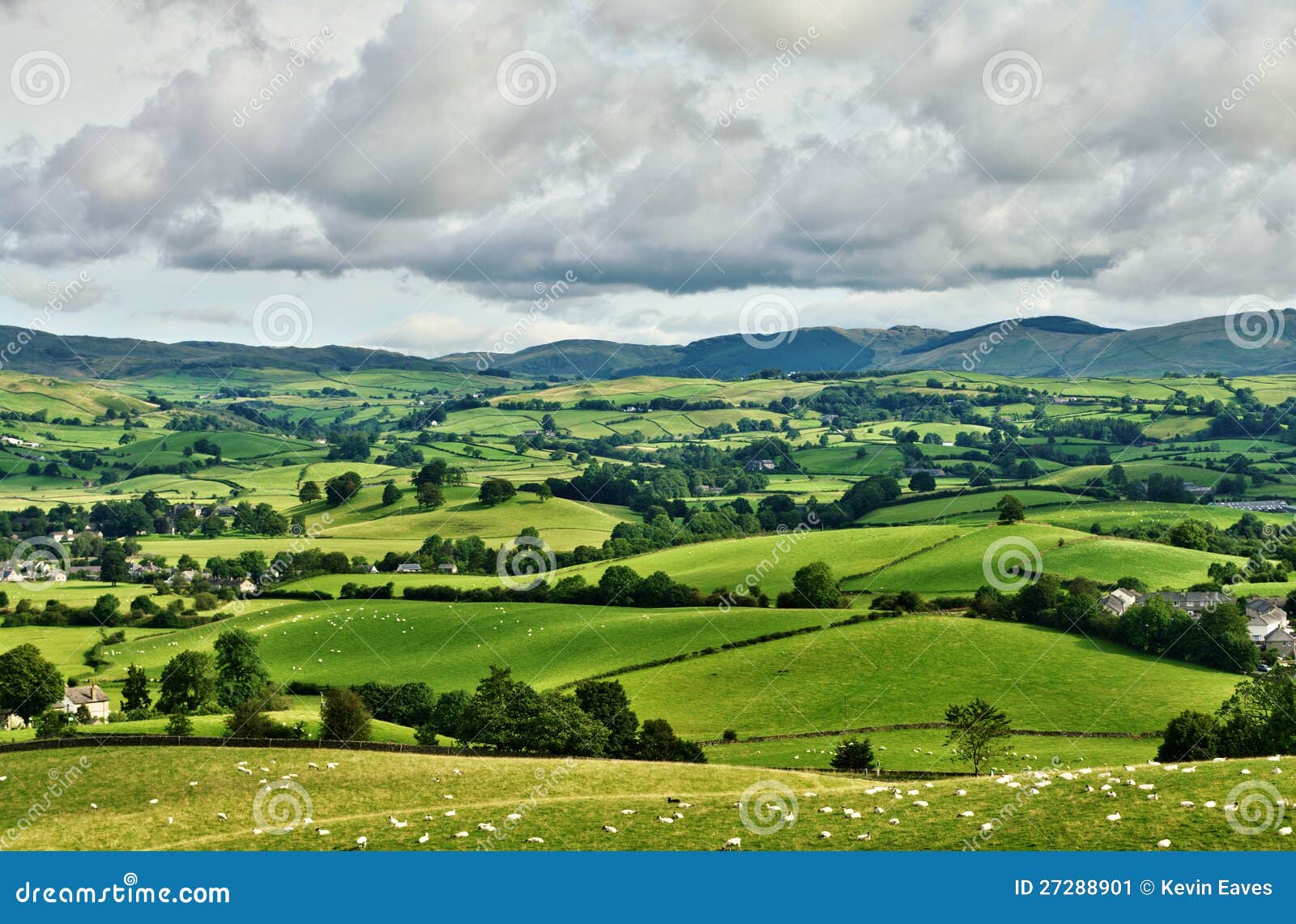 pastoral scene of lush green english farmland
