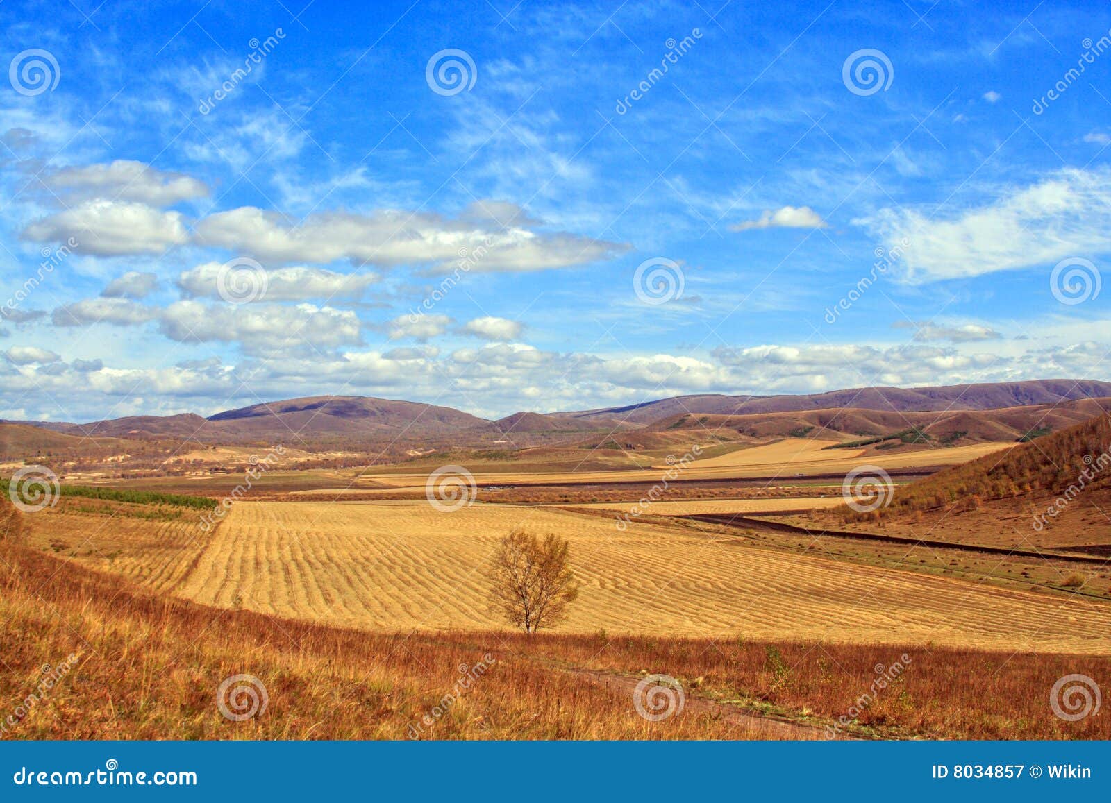 pastoral scenery