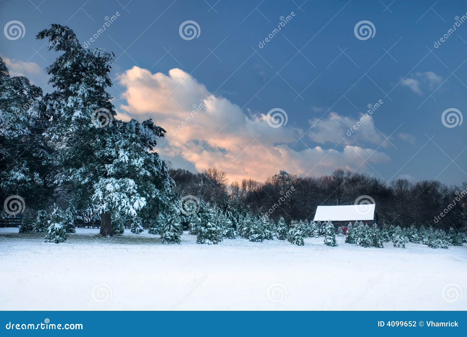 pastoral snow scene.