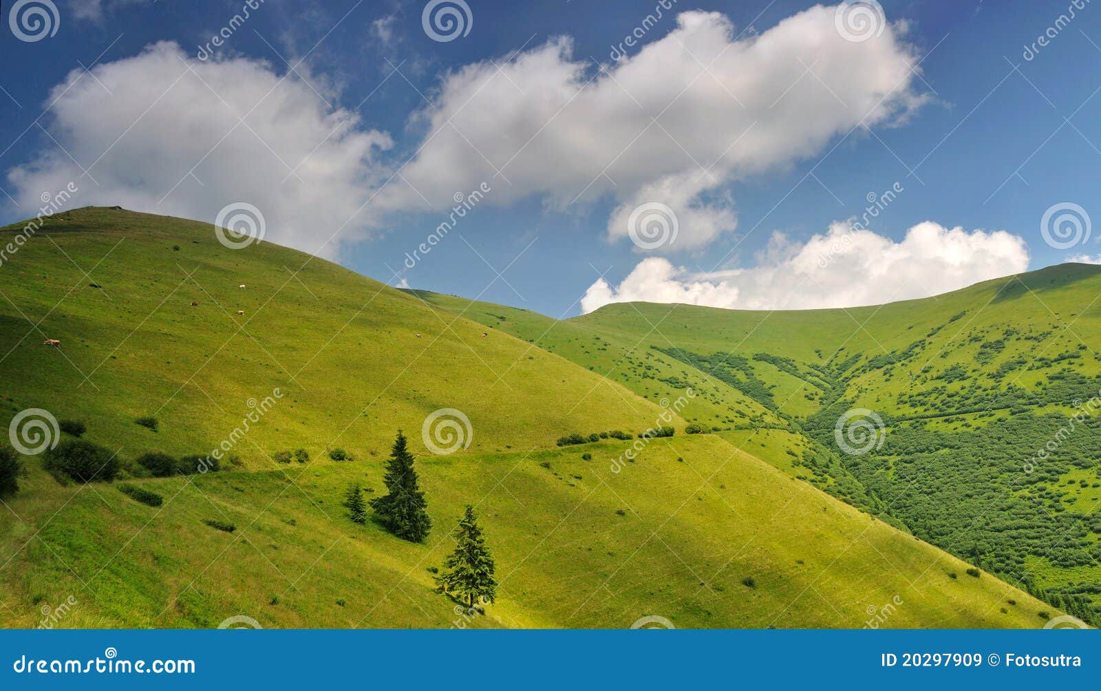 Pastos da montanha em Ucrânia. Montanhas Carpathian. Cume de Chornogora