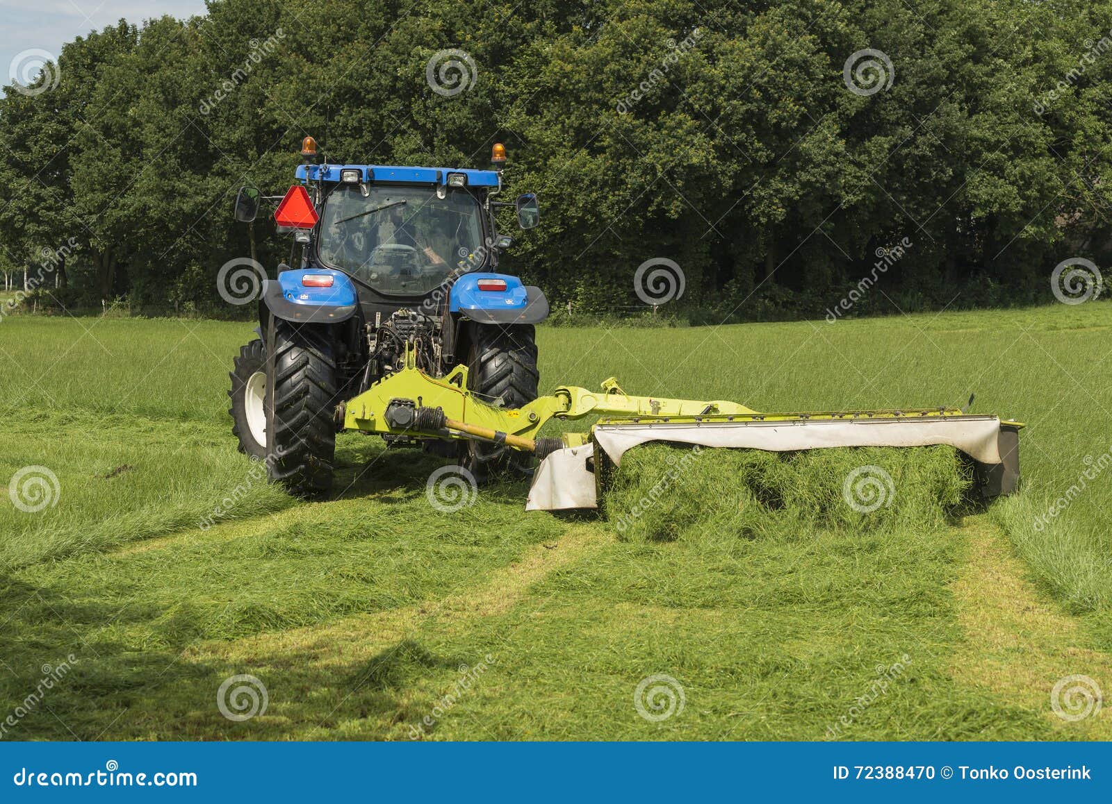 Pasture Mowing with Blue Tractor Stock Photo Image of farmer