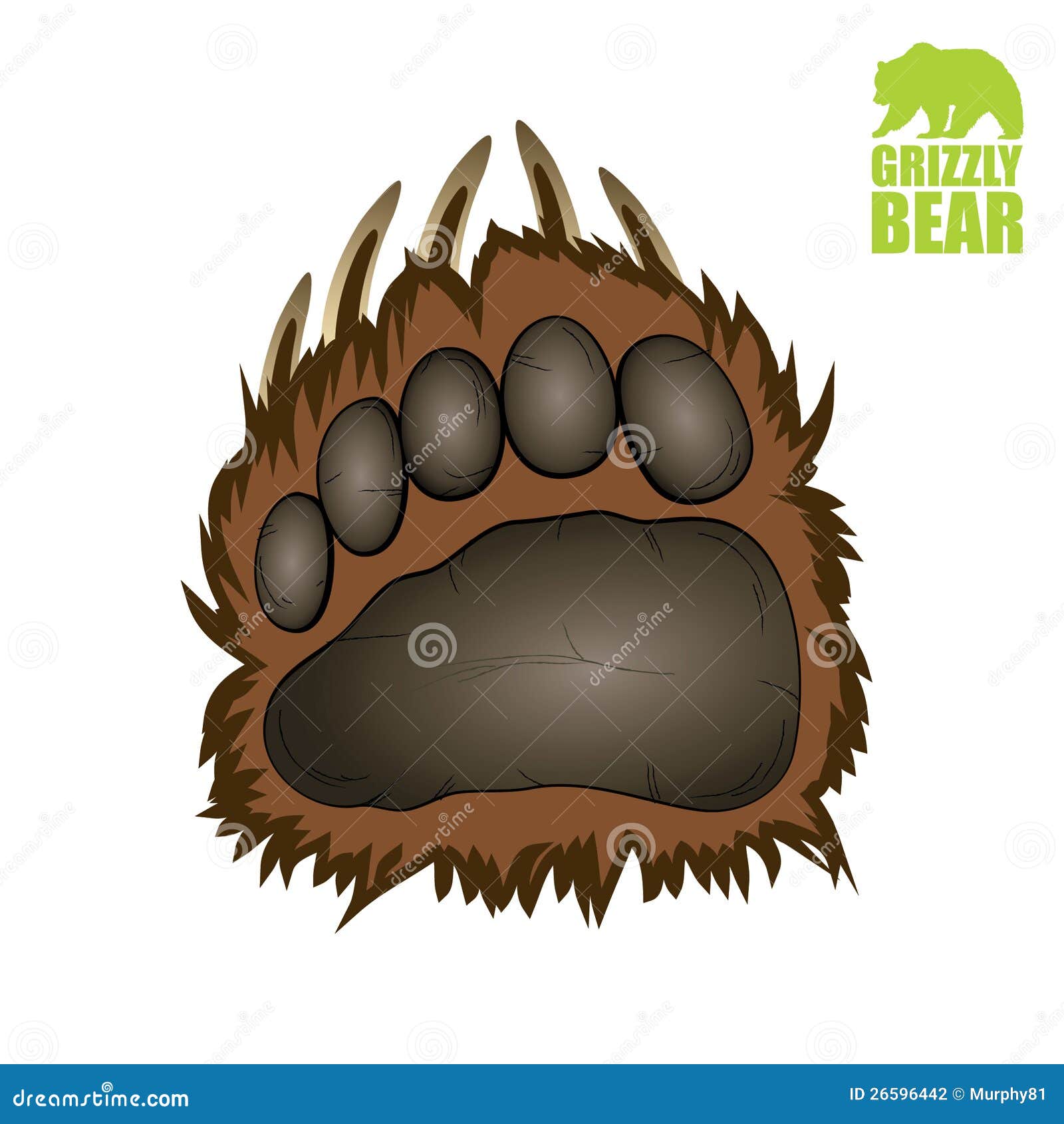 Pata de oso grizzly ilustración del vector. Ilustración de vector - 26596442, image size:1600x1690