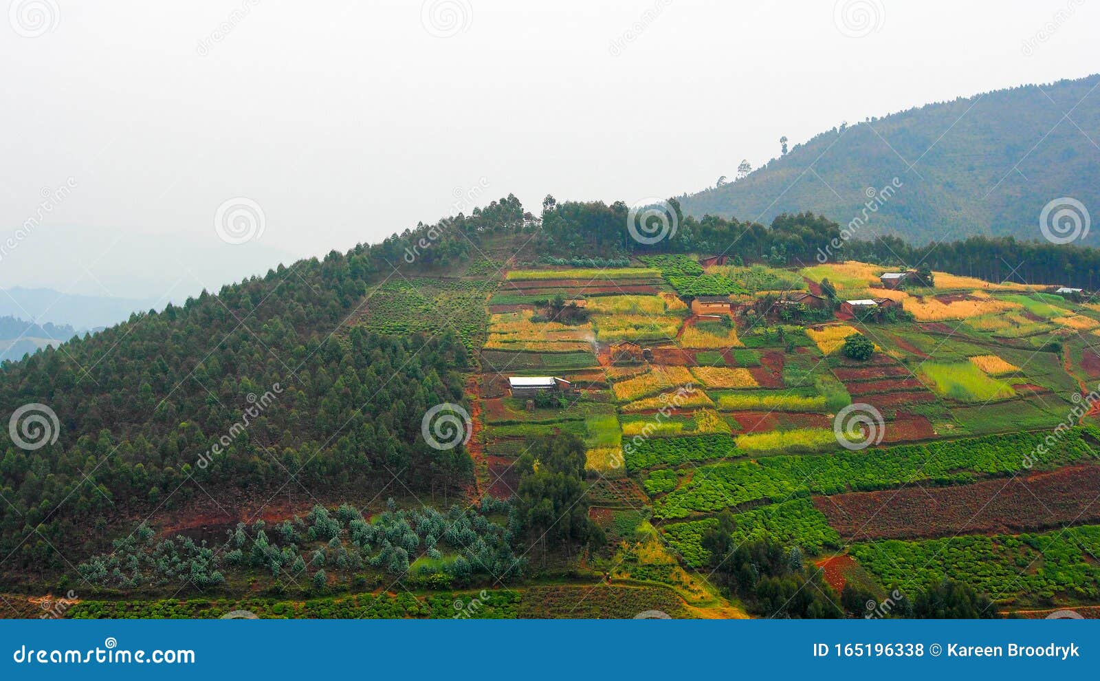 patchwork landscape of small farming fields on a hill in rwanda