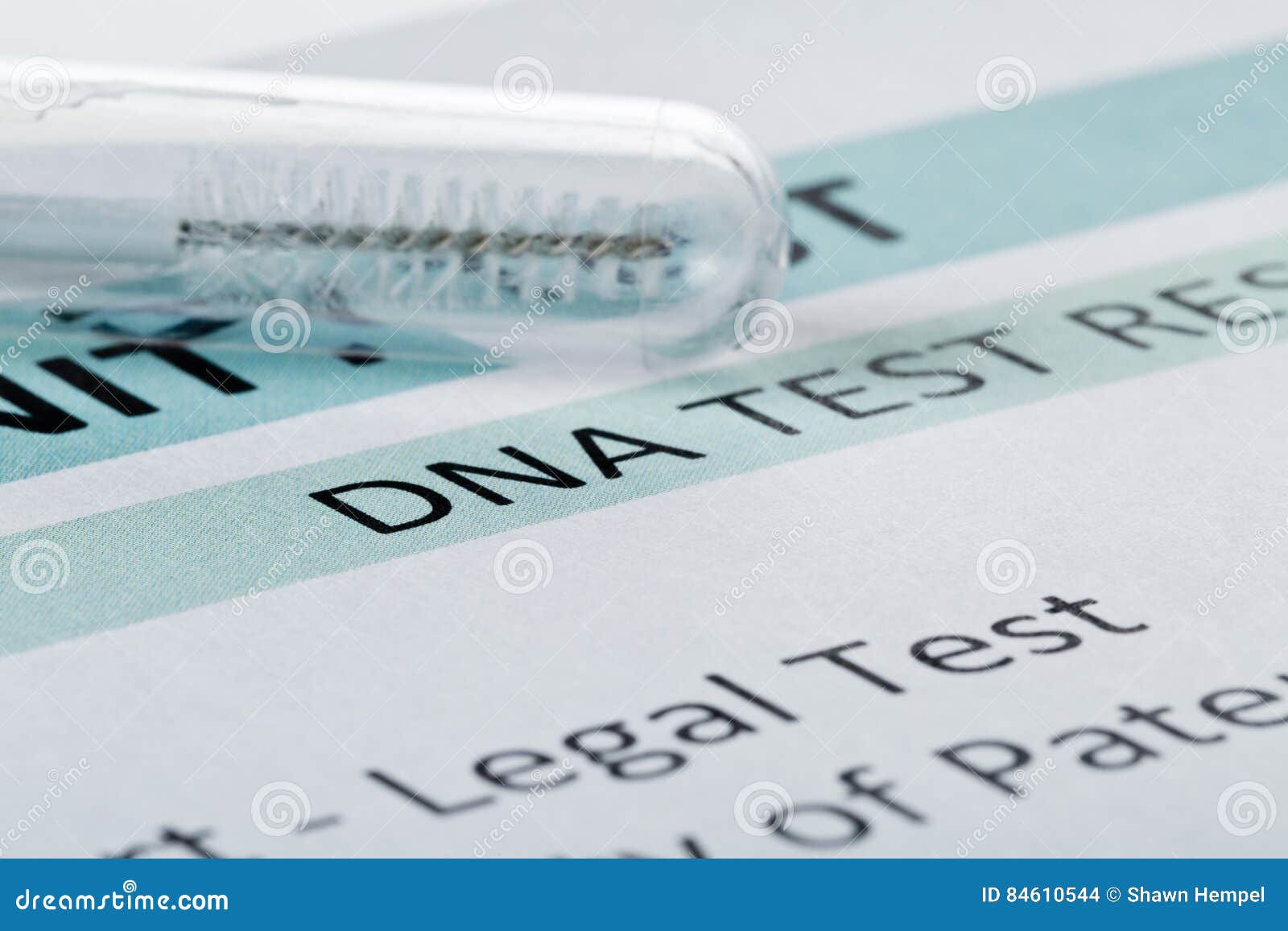 paternity test result form with buccal swab in test tube