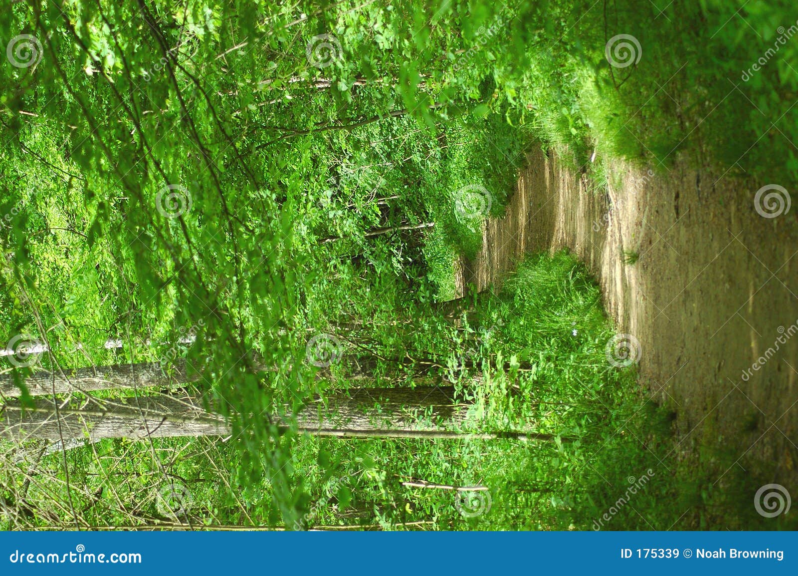 Path Royalty Free Stock Images Image 175339