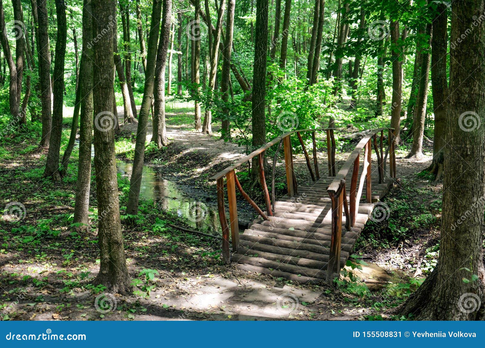 The Path Across The Bridge In The Green Forest Wooden Bridge Over The