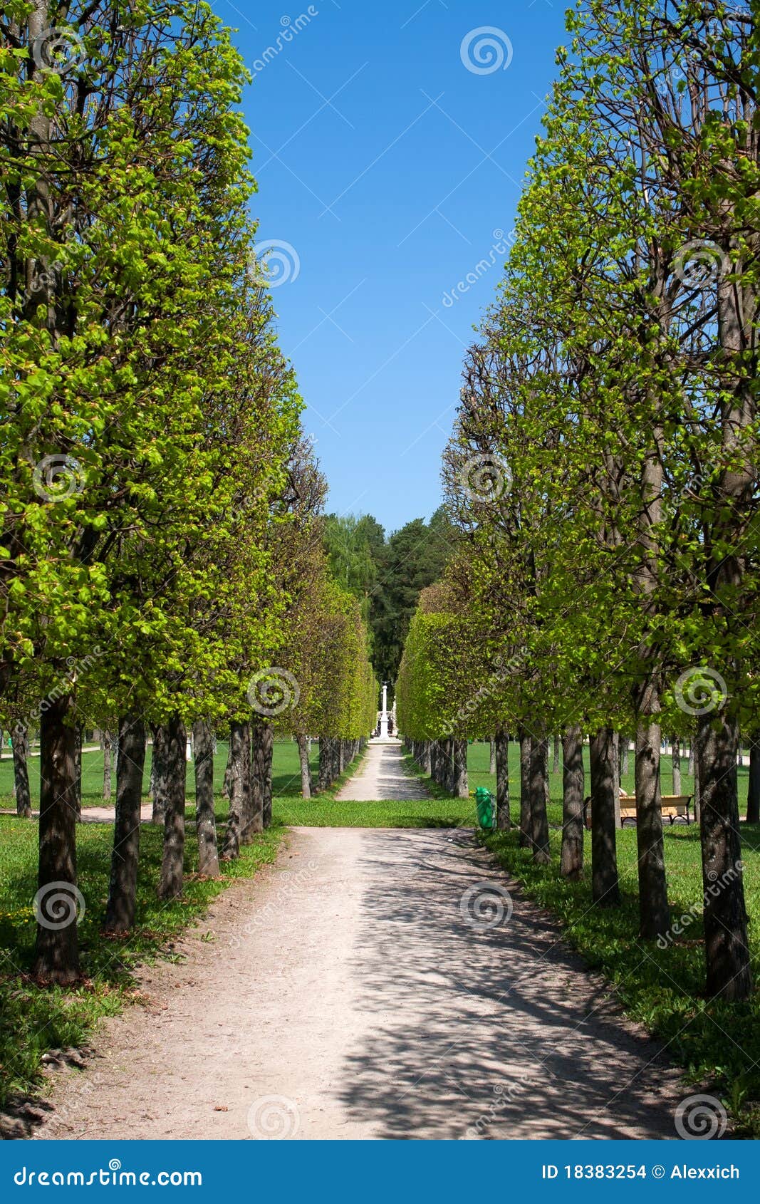 Path in Arkhangelskoye Estate Stock Photo - Image of country, classical ...