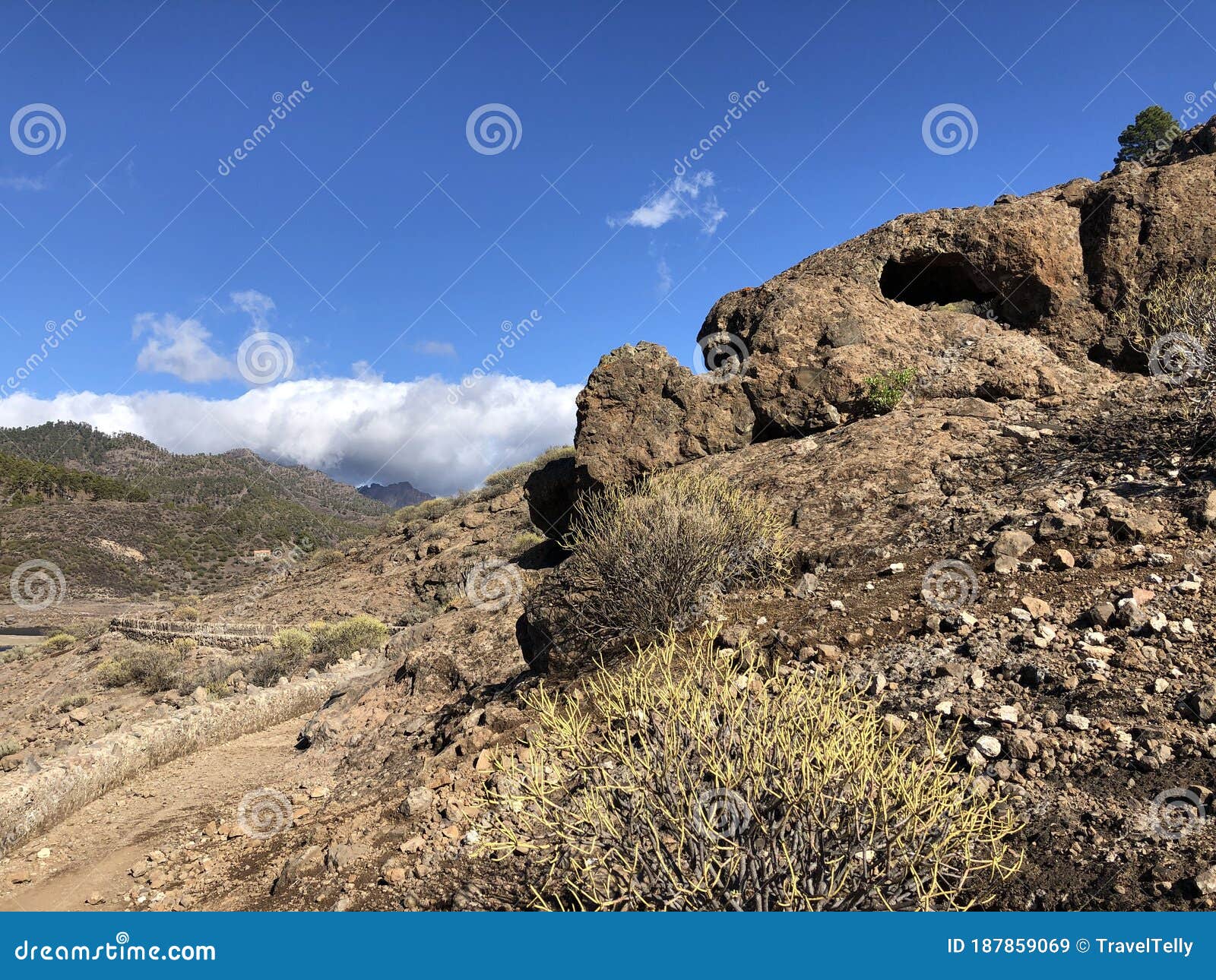 path around las ninas reservoir