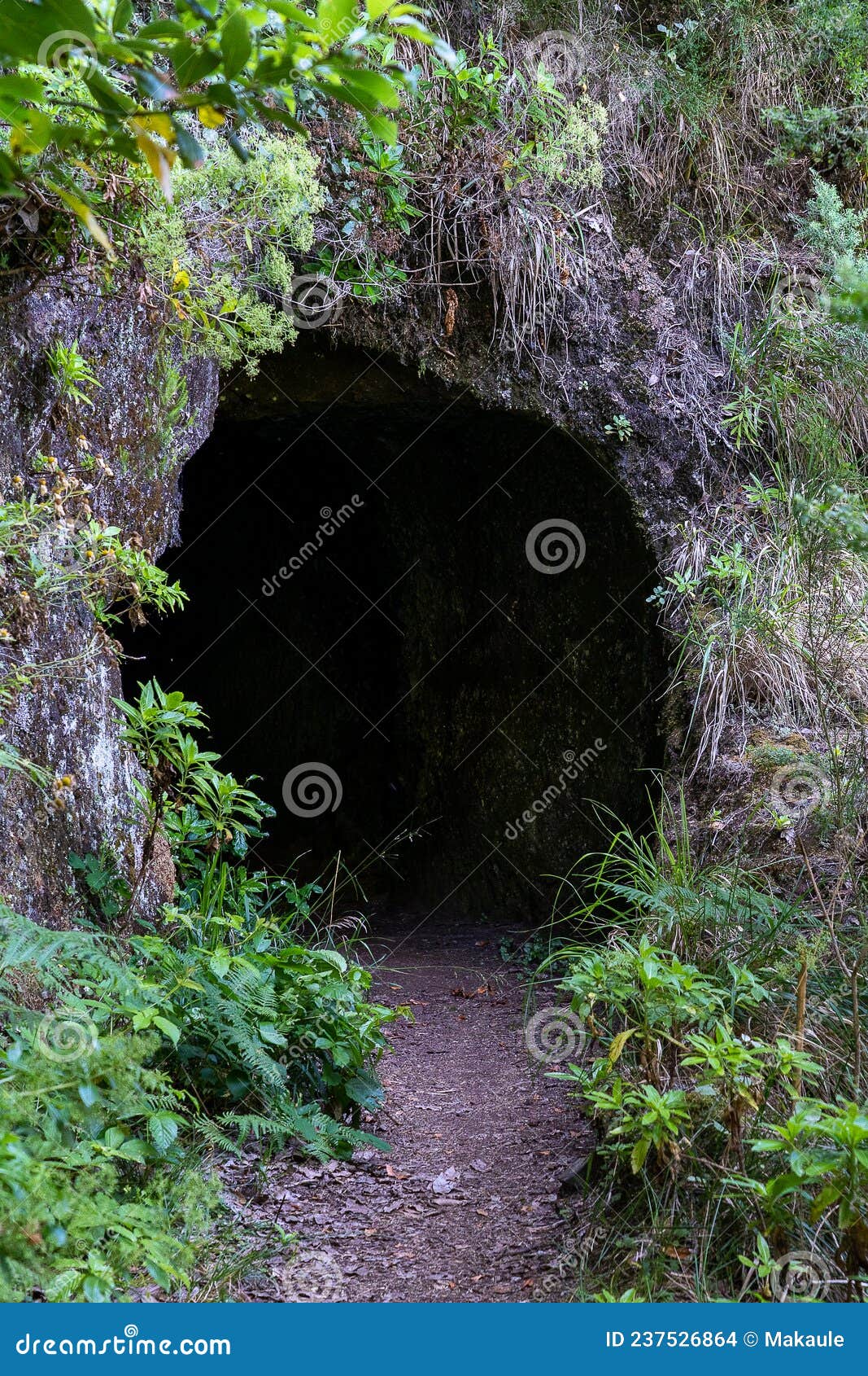 the path by caminho do pinaculo e folhadal levada