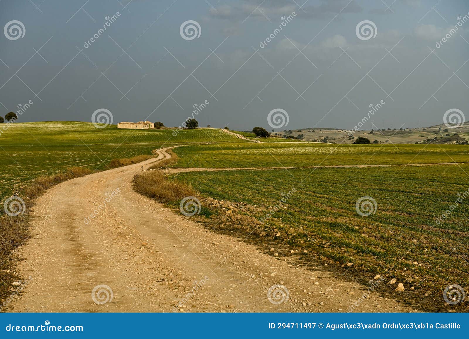 path of the cereal pasture of the sierra oriental in granada - spain.