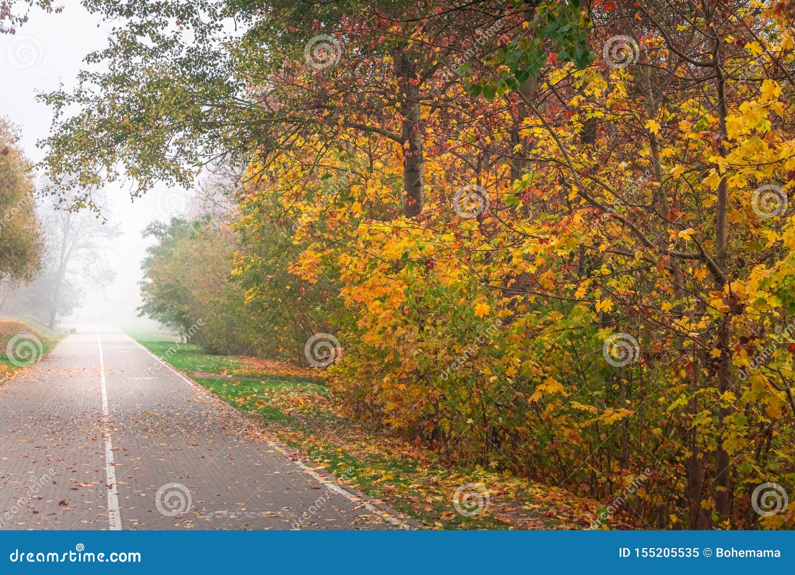 Path In City Park With Colorful Trees In Fog Autumn Landscape Stock