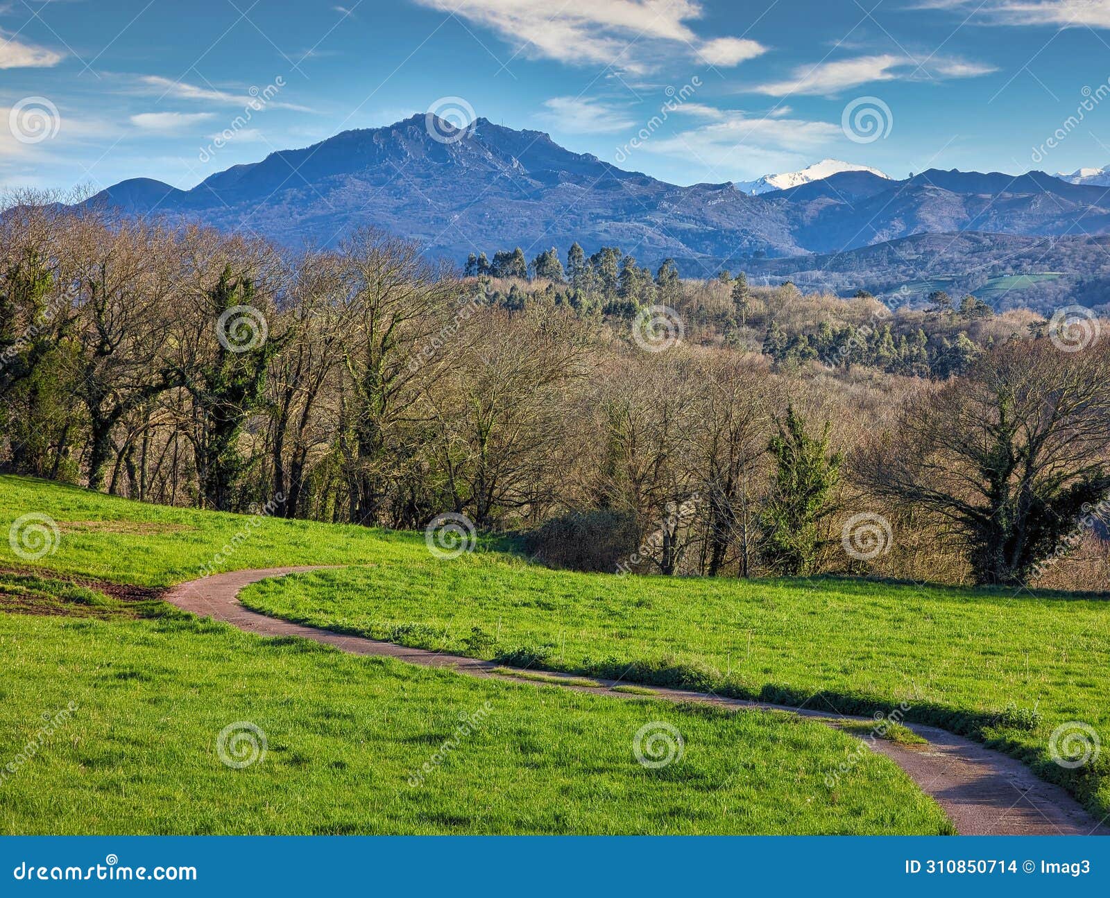 path crossing a meadow with mountains in the background near barbechu village, sariego municipality, asturias, spain