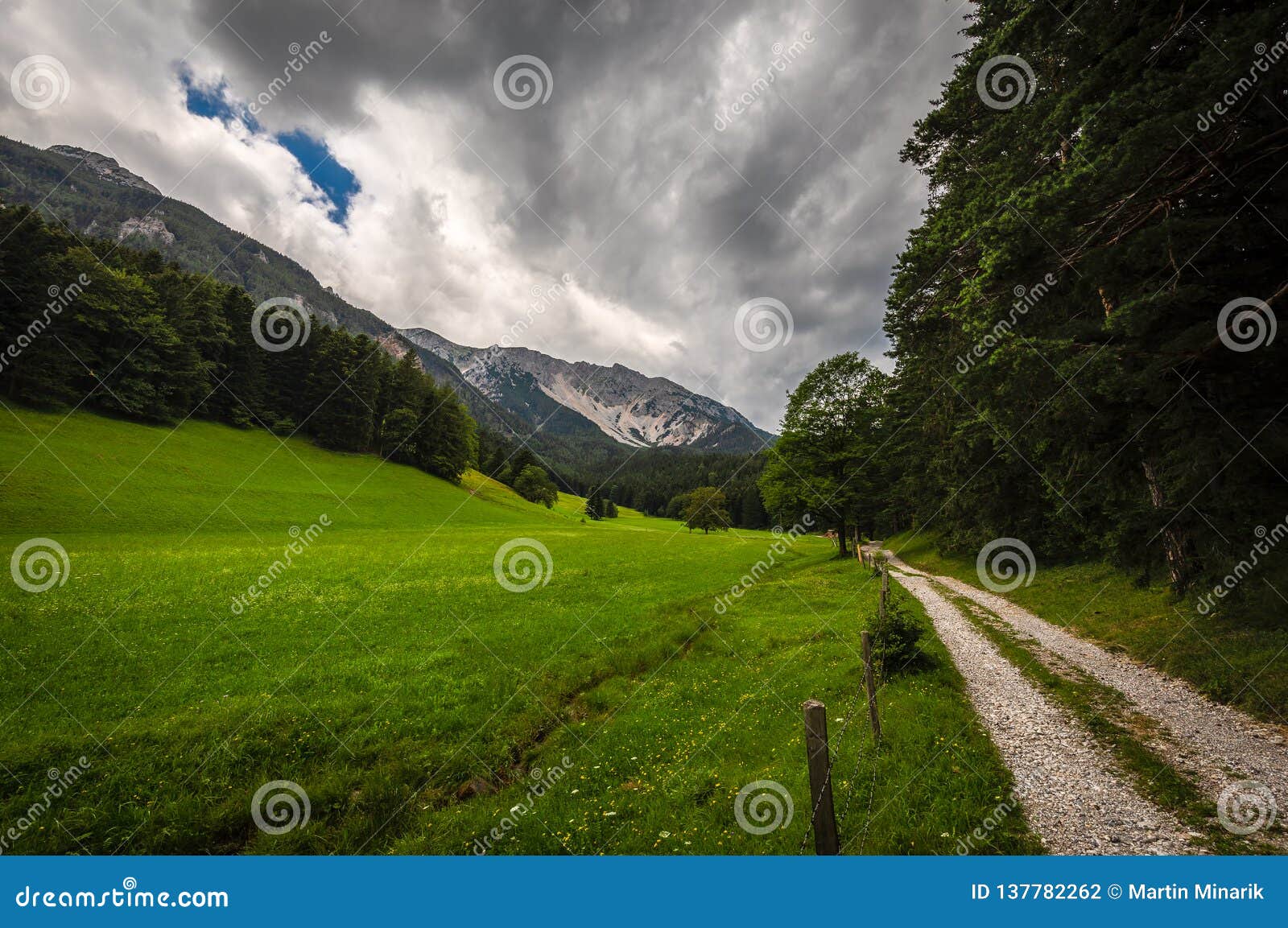 path on the edge of forest to schneeberg massif, near puchberg, alps, lower austria