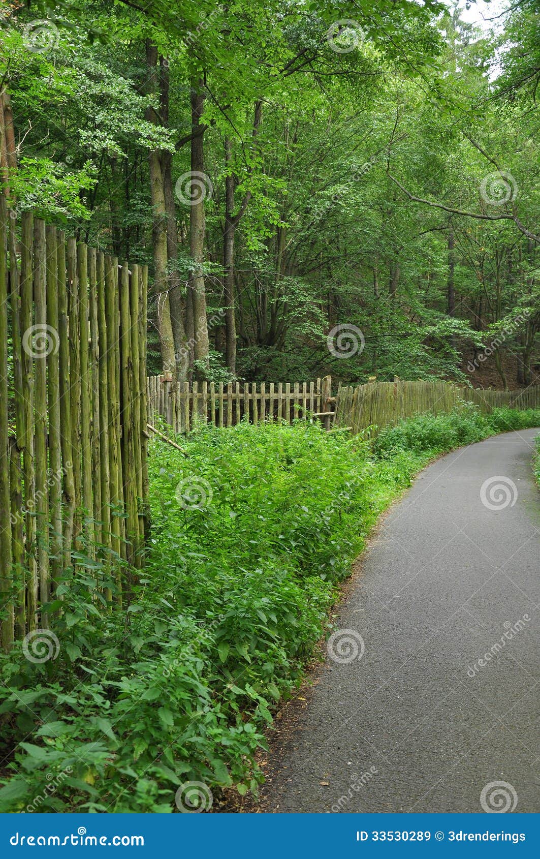 Path and fence in woods stock image. Image of walk, september 33530289