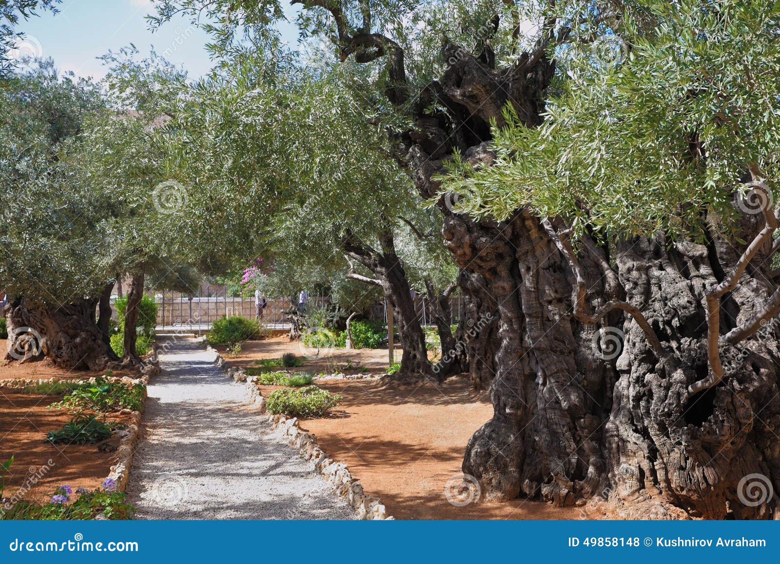 free clipart garden of gethsemane - photo #44