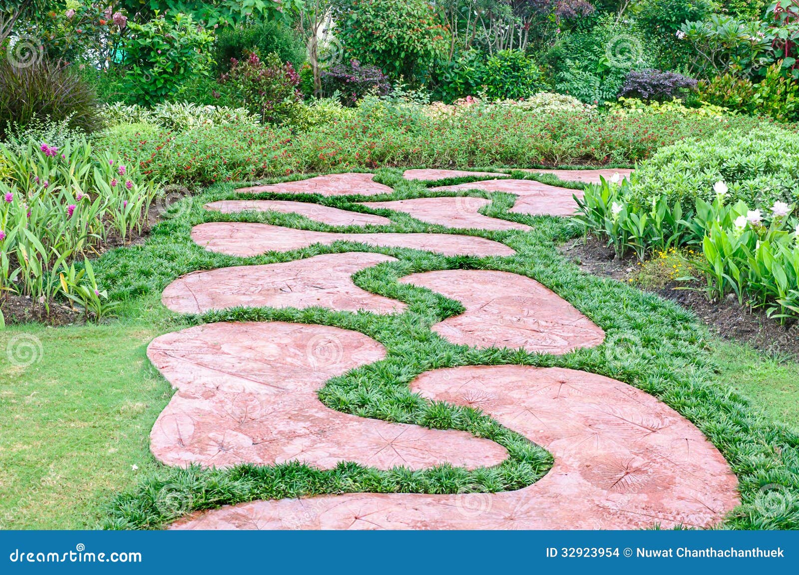 The path in the garden. stock photo. Image of park, nature - 32923954