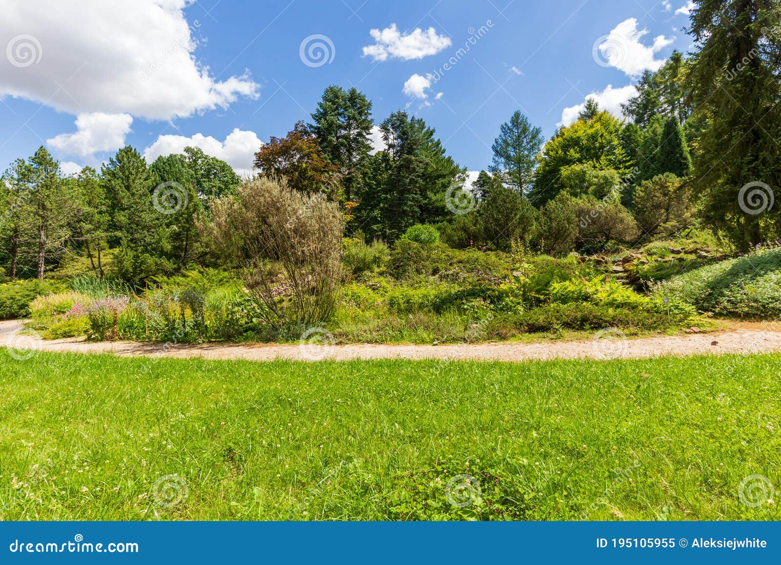 Path in Garden, Park in Summer Landscape Stock Image Image of park, bright 195105955