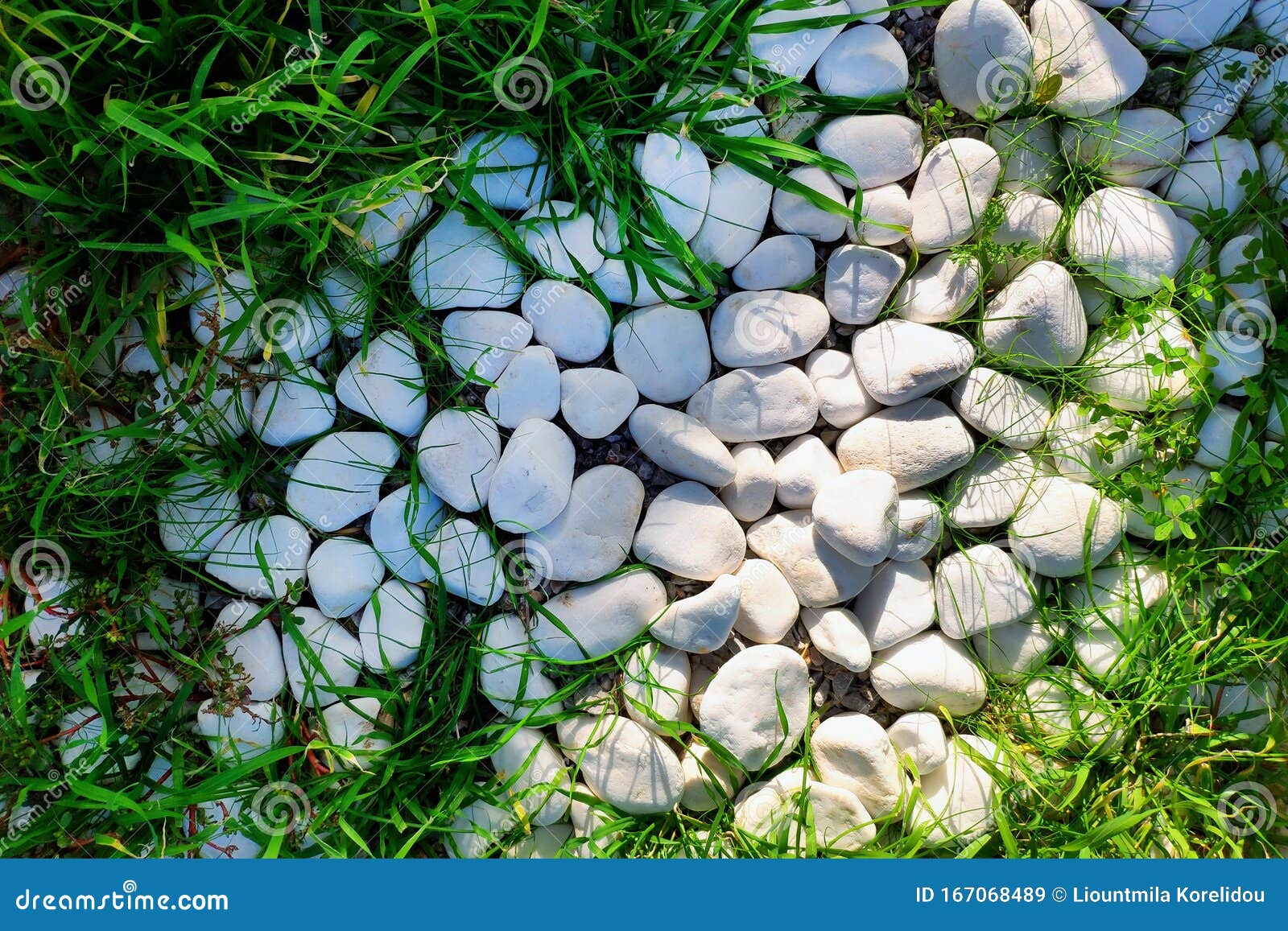 Path in the Garden of White Decorative Stones. Stock Image Image of