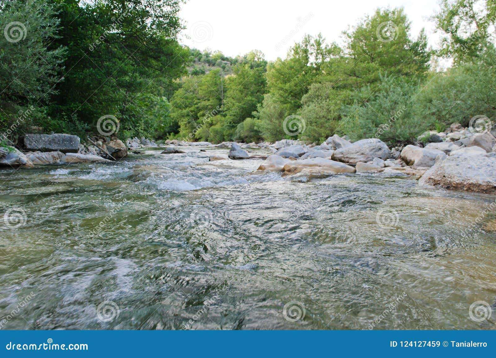 the path of the gole del calore in the heart of the cilento national park