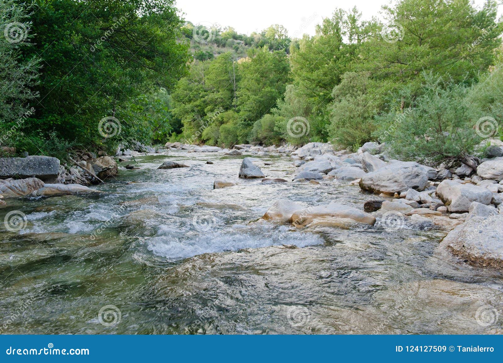 the path of the gole del calore in the heart of the cilento national park