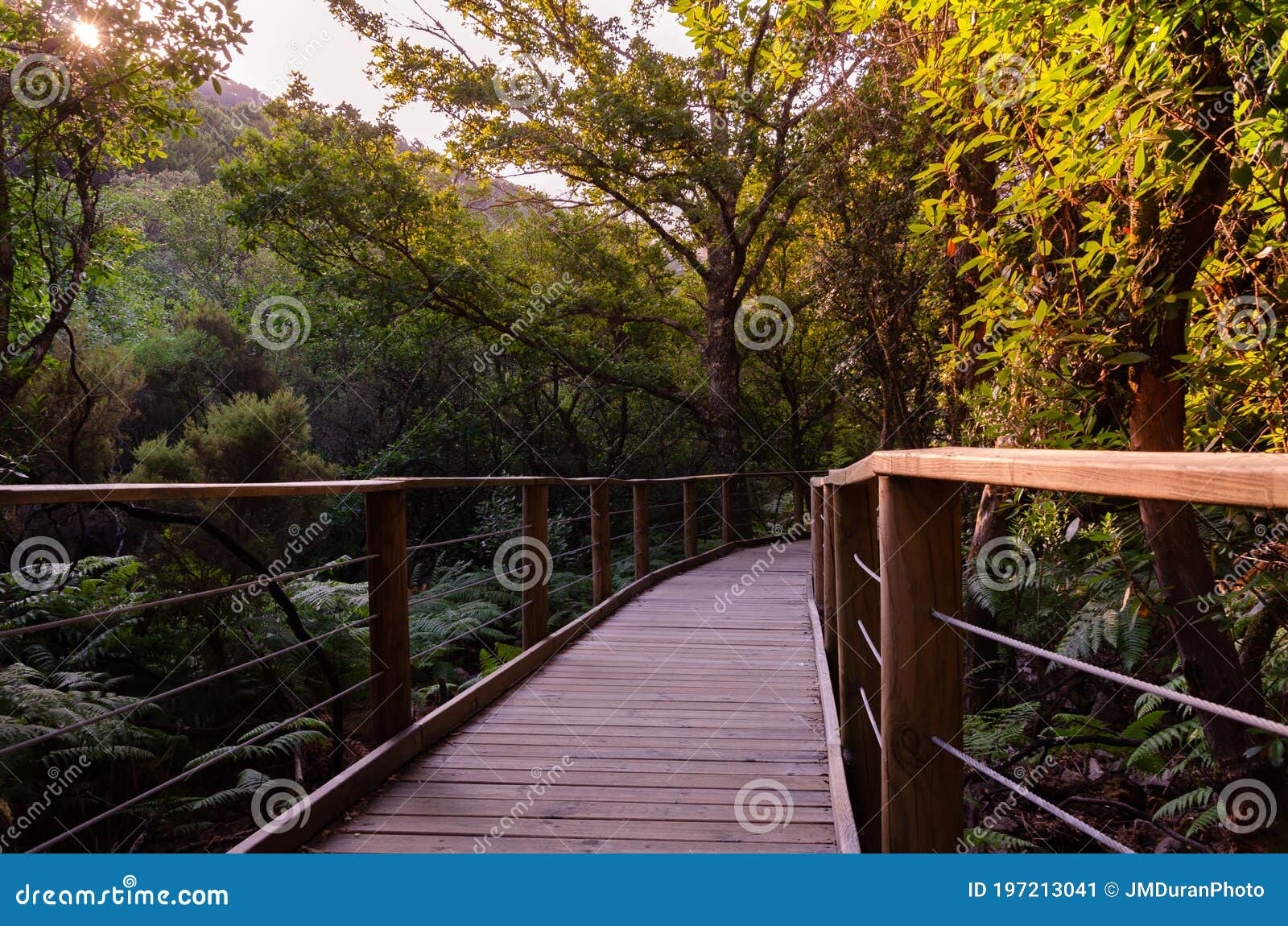 a path through the natural environment of las batuecas-sierra de francia natural park, salamanca, spain
