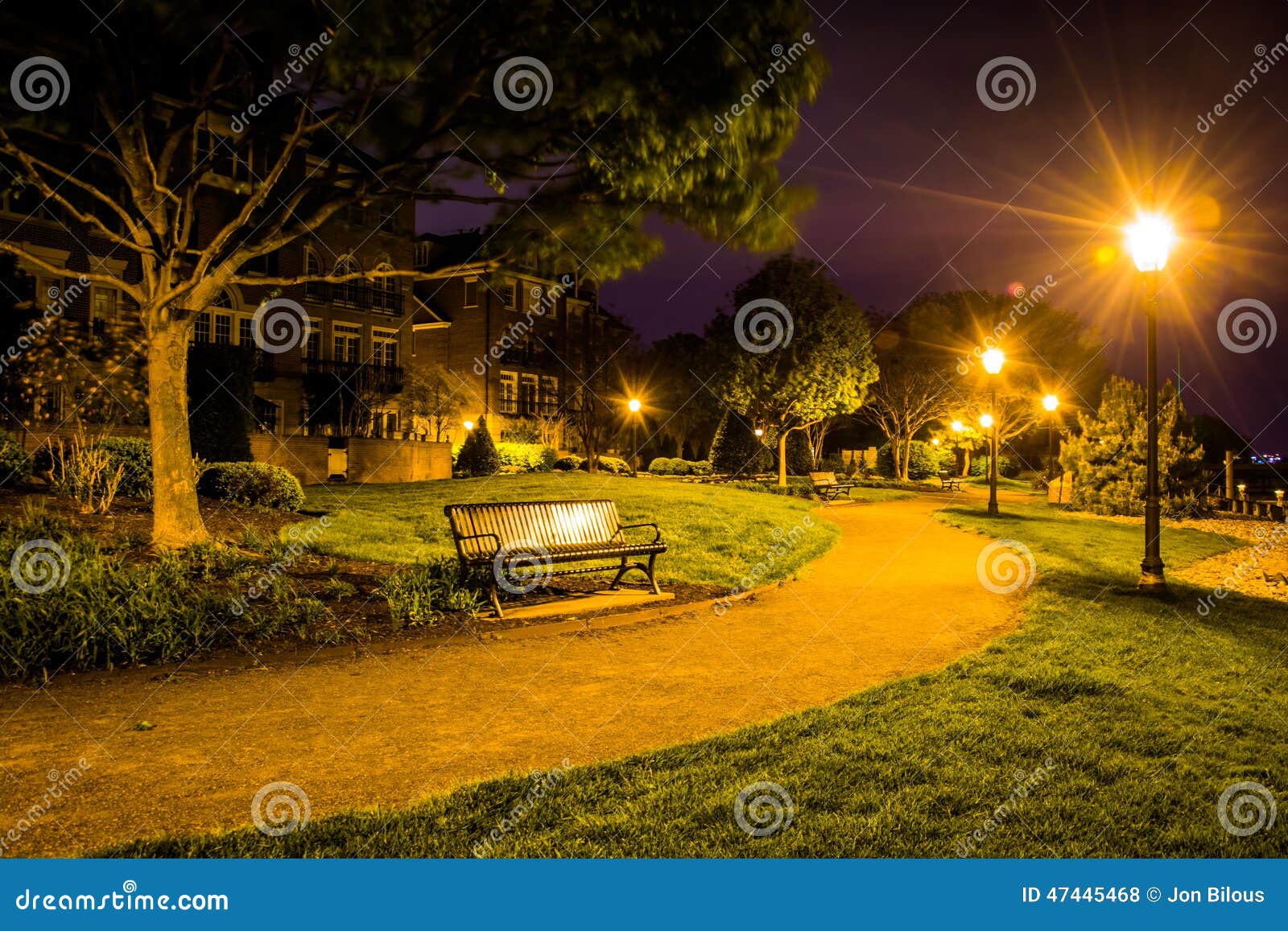 path at night in a park in alexandria, virginia.