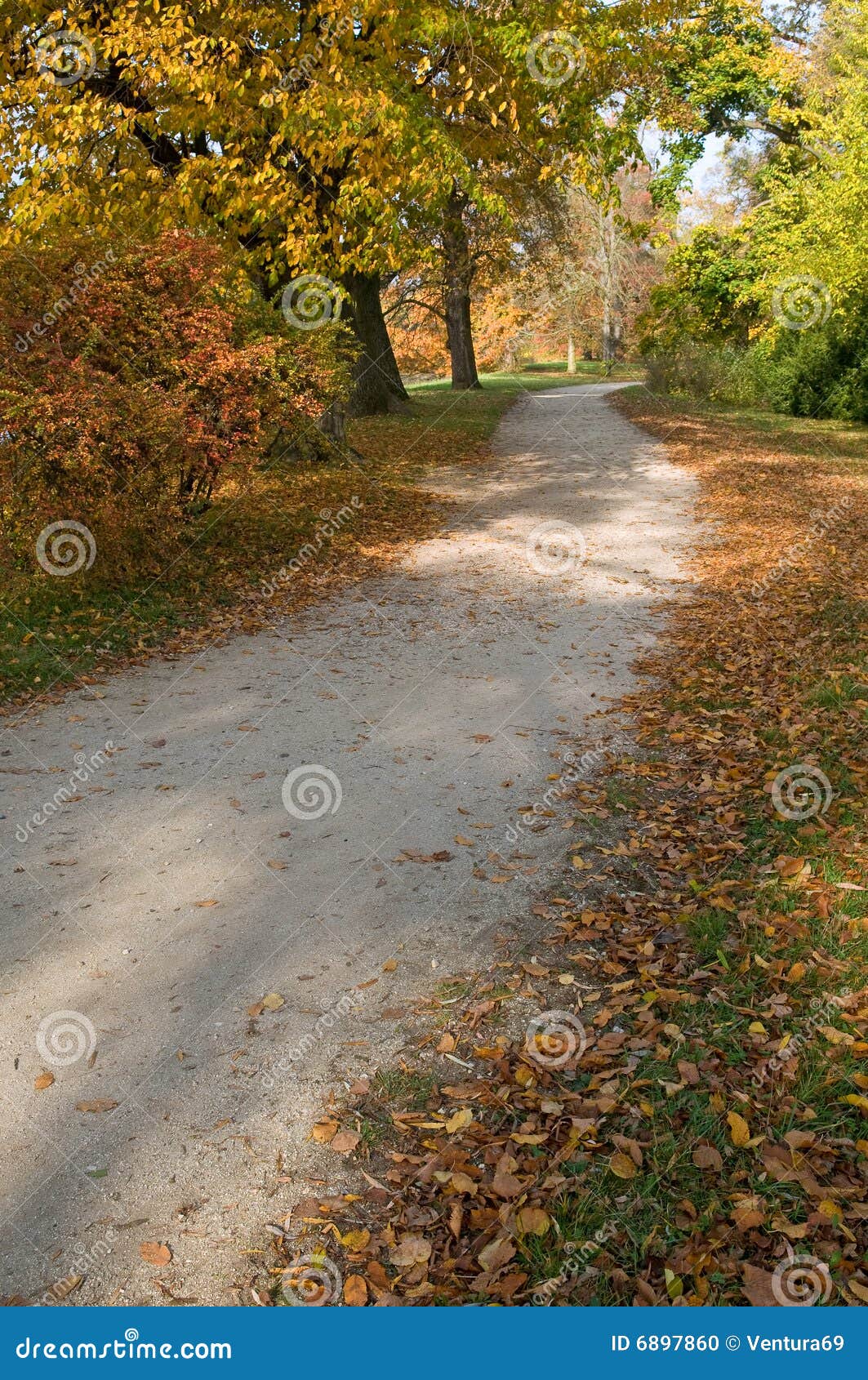 Path through the park stock photo. Image of season, scene - 6897860