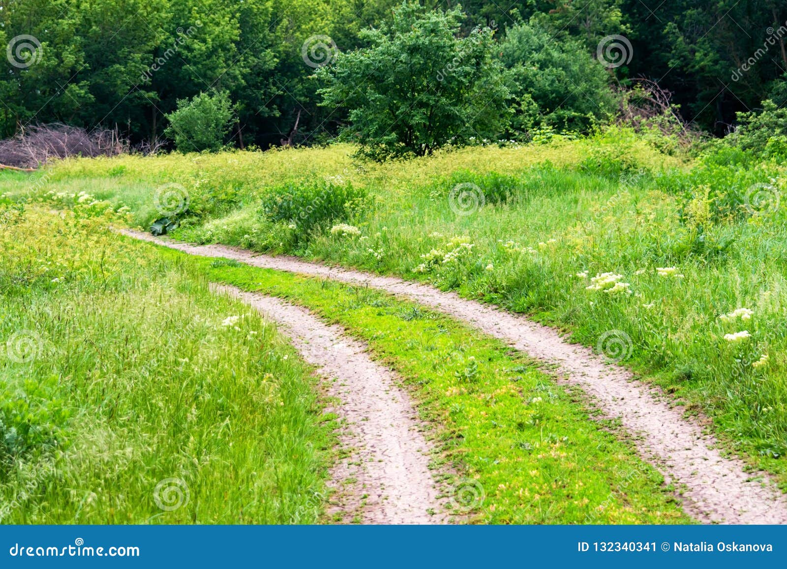 Path Or Road In Summer Countryside Natural Landscape Stock Image