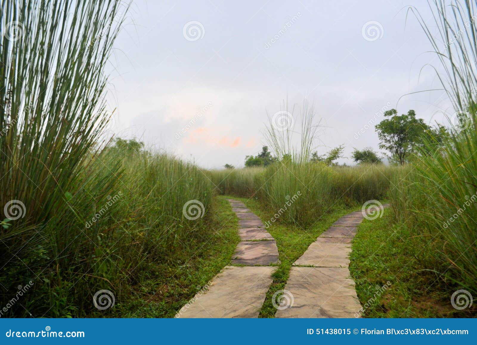 Path Splits Two Directions, Fork in the Road Stock Image Image of